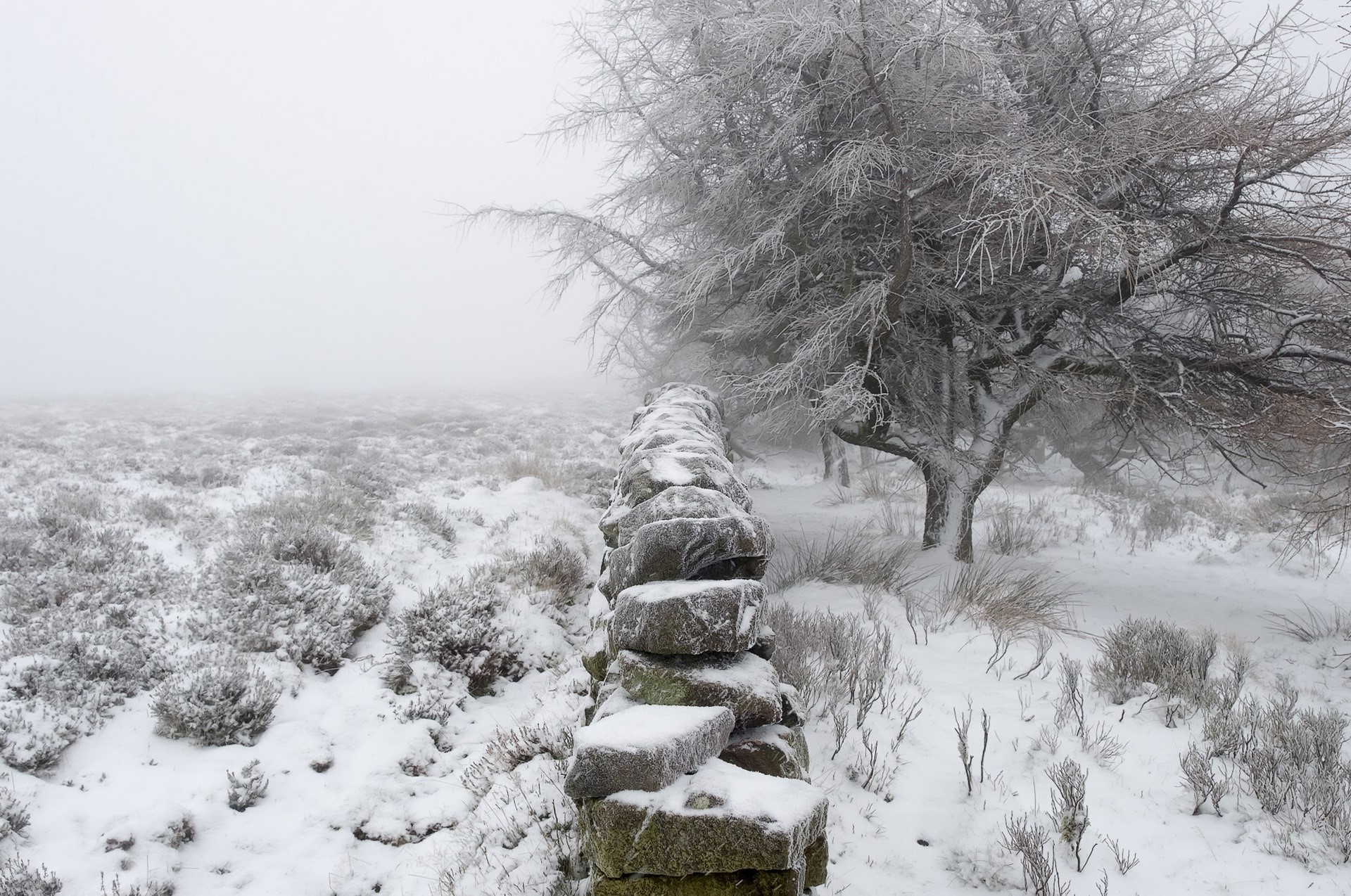 winter, snow, landscape, trees, HD Wallpaper