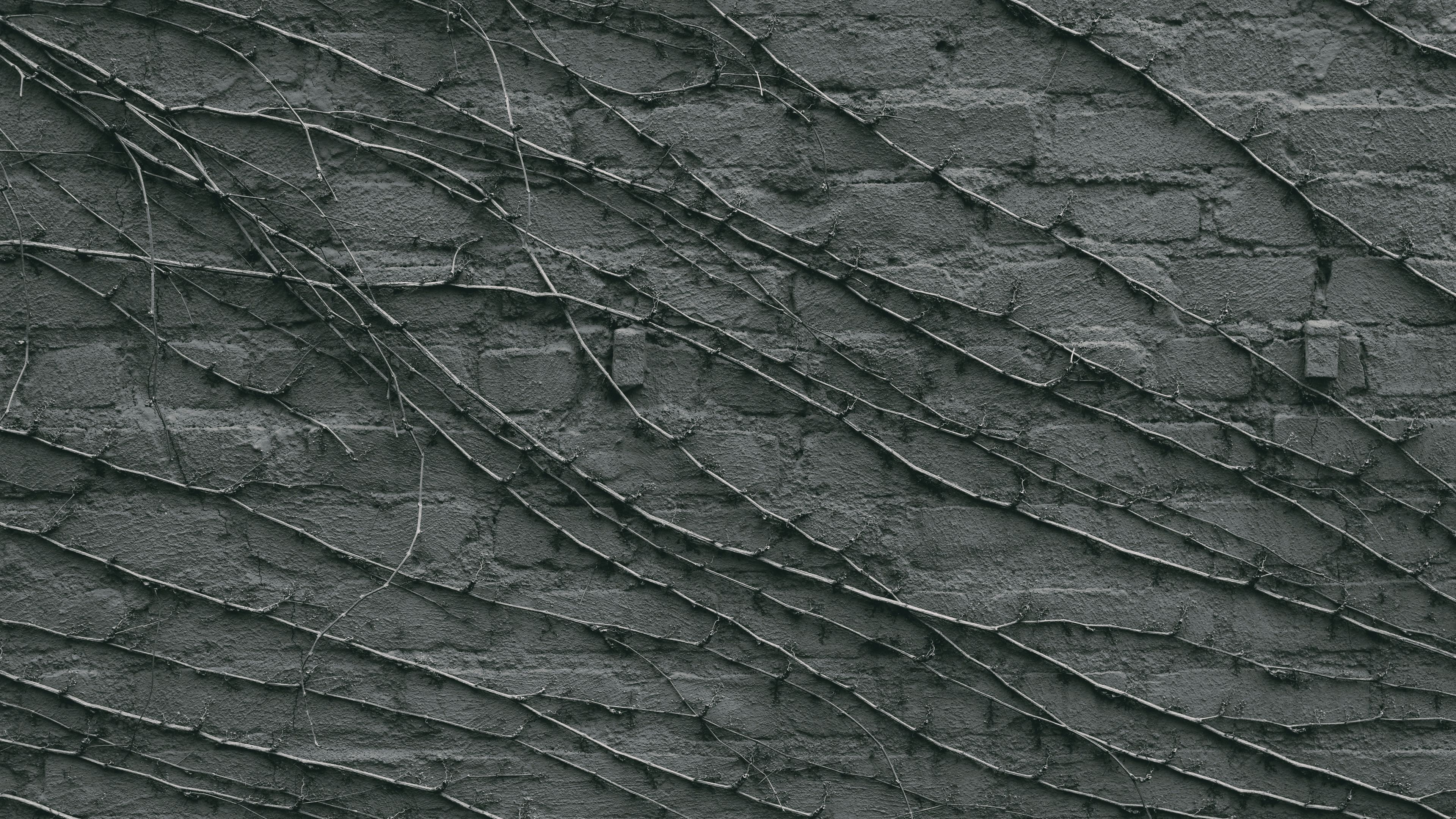 wall, branches, gray, surface, 4k, HD Wallpaper