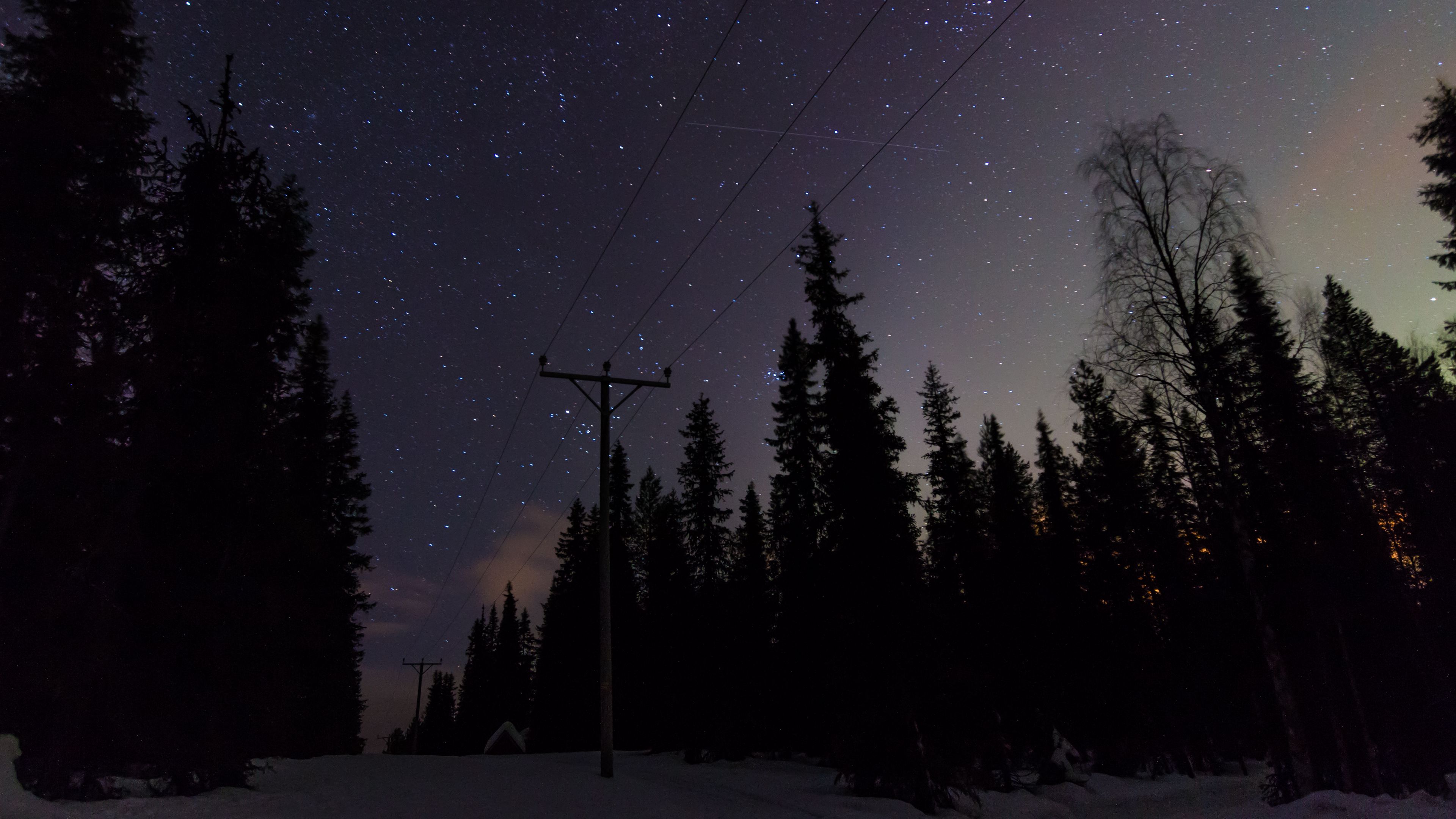 poles, wires, starry sky, trees, night, 4k, HD Wallpaper