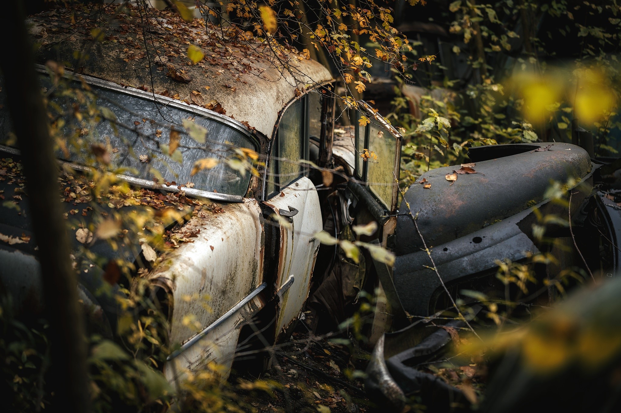 car, vehicle, wreck, fall, HD Wallpaper