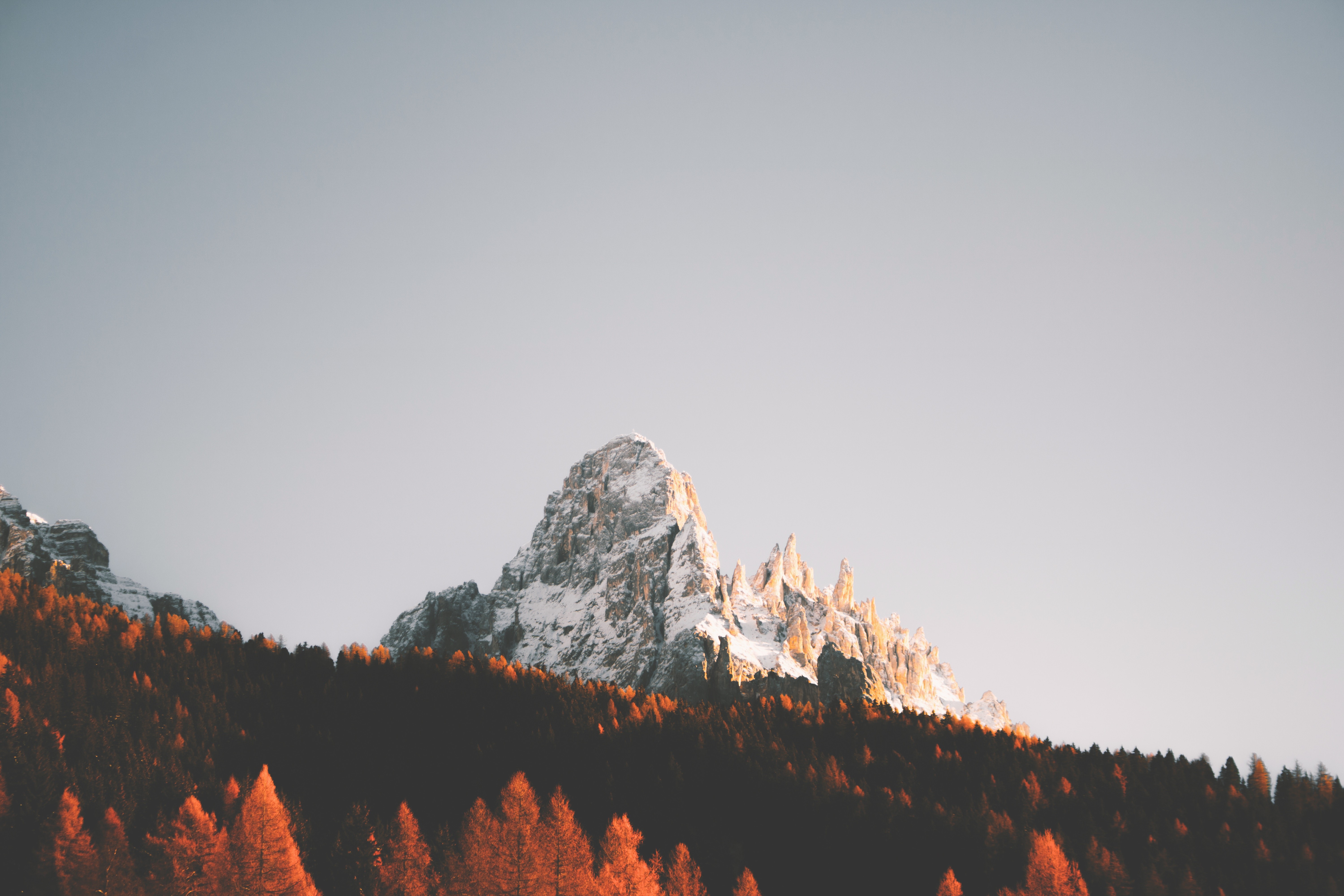 snow, mountains, forest, landscape, clear sky, HD Wallpaper