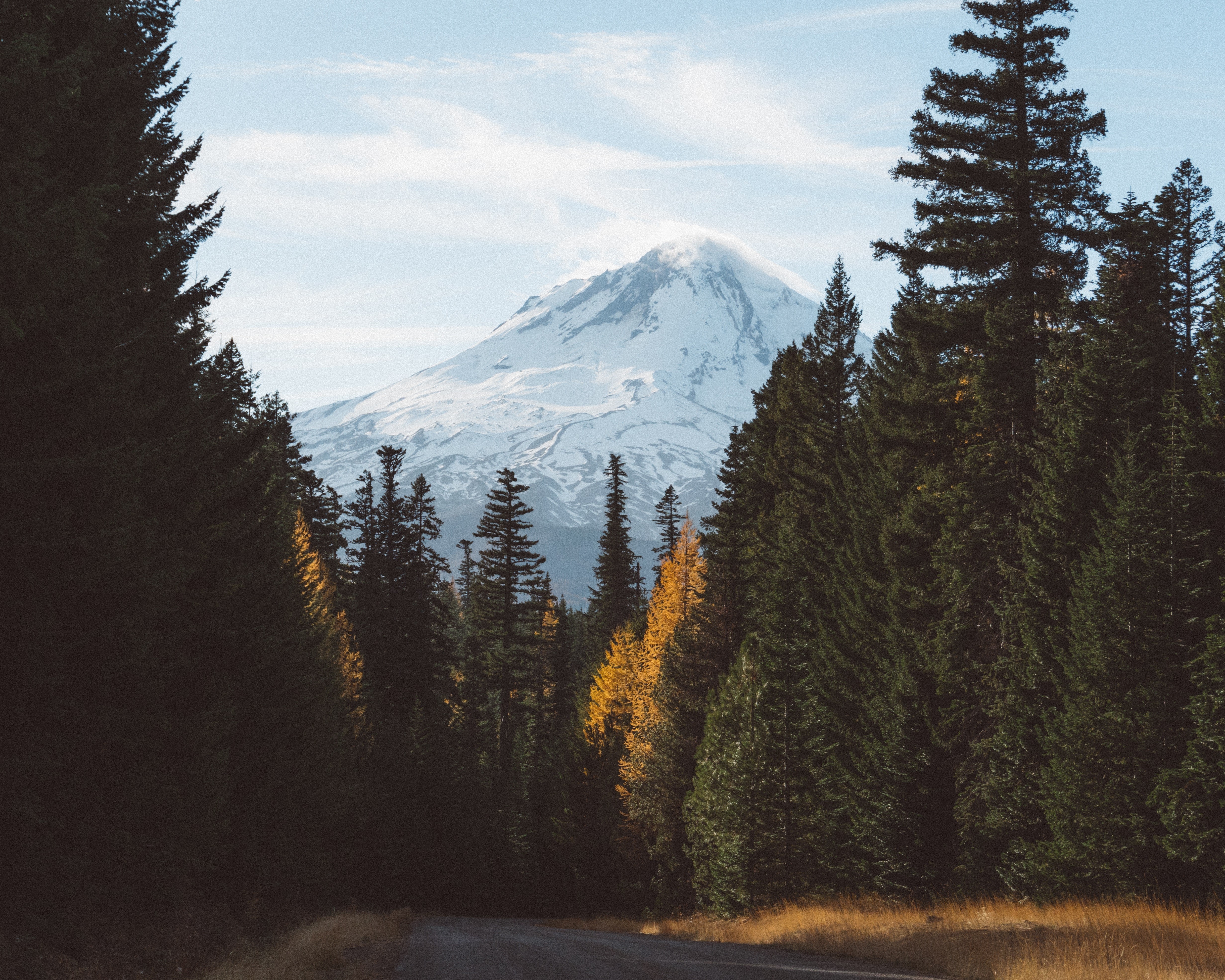 nature, mountains, trees, snow, road, HD Wallpaper