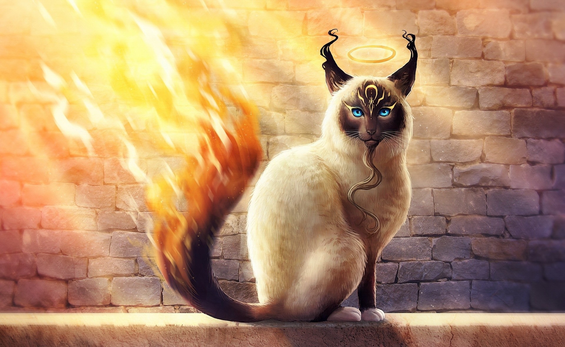 cats, animals, artwork, fire, HD Wallpaper
