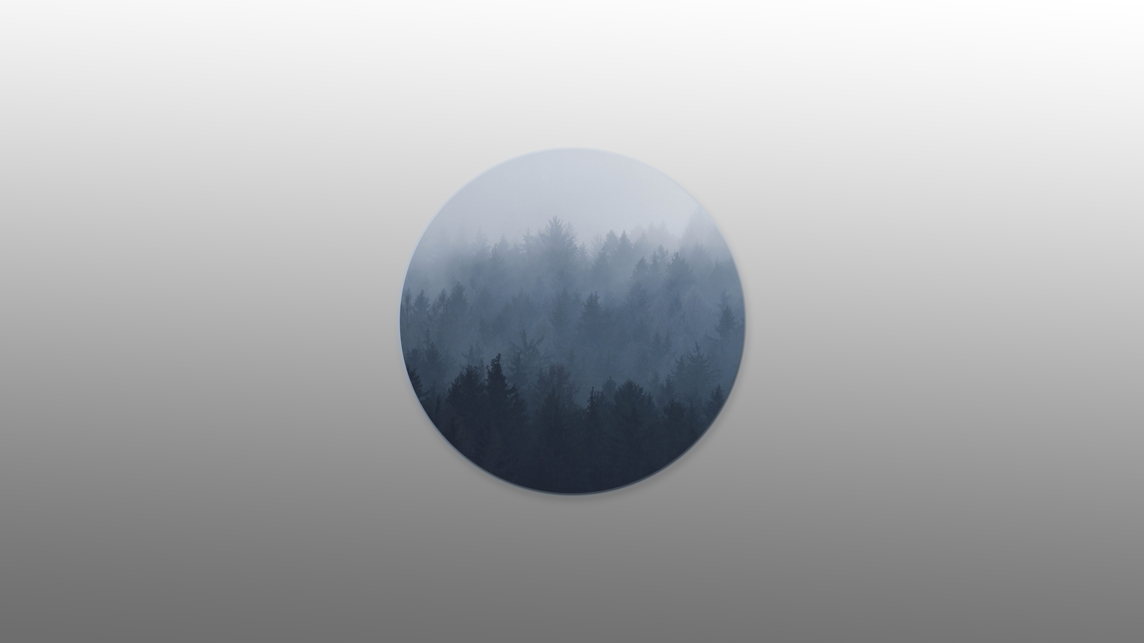gradient, trees, HD Wallpaper
