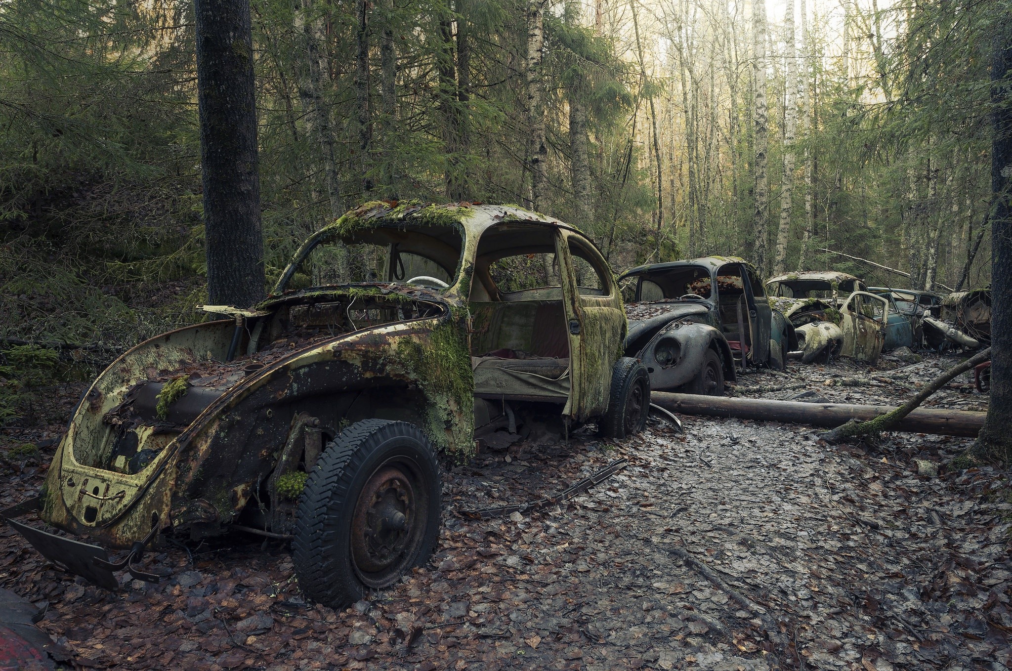 car, vehicle, old, wreck, Volkswagen Beetle, HD Wallpaper