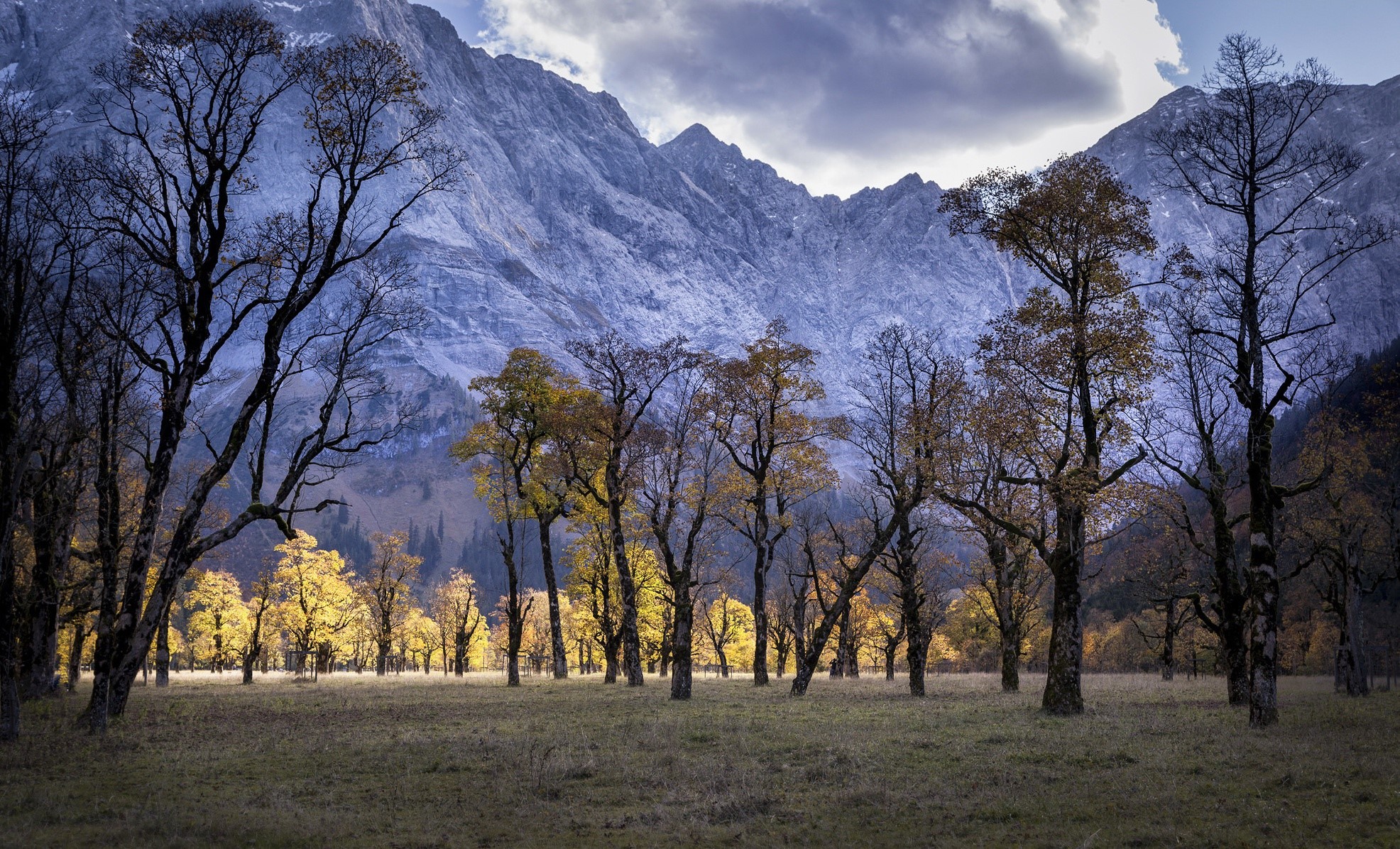 mountains, landscape, trees, nature, fall, HD Wallpaper