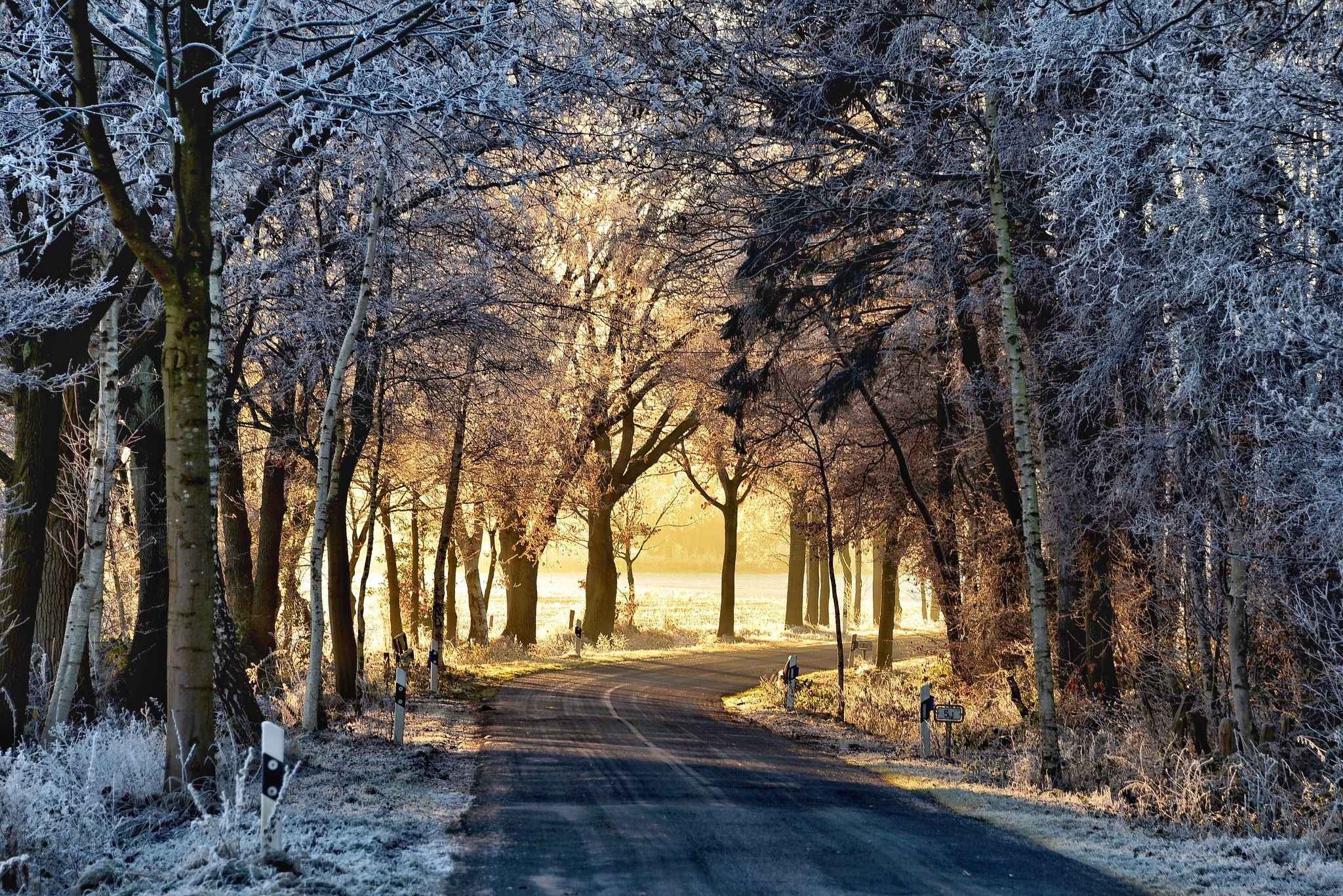 sunlight, road, winter, snow, trees, HD Wallpaper