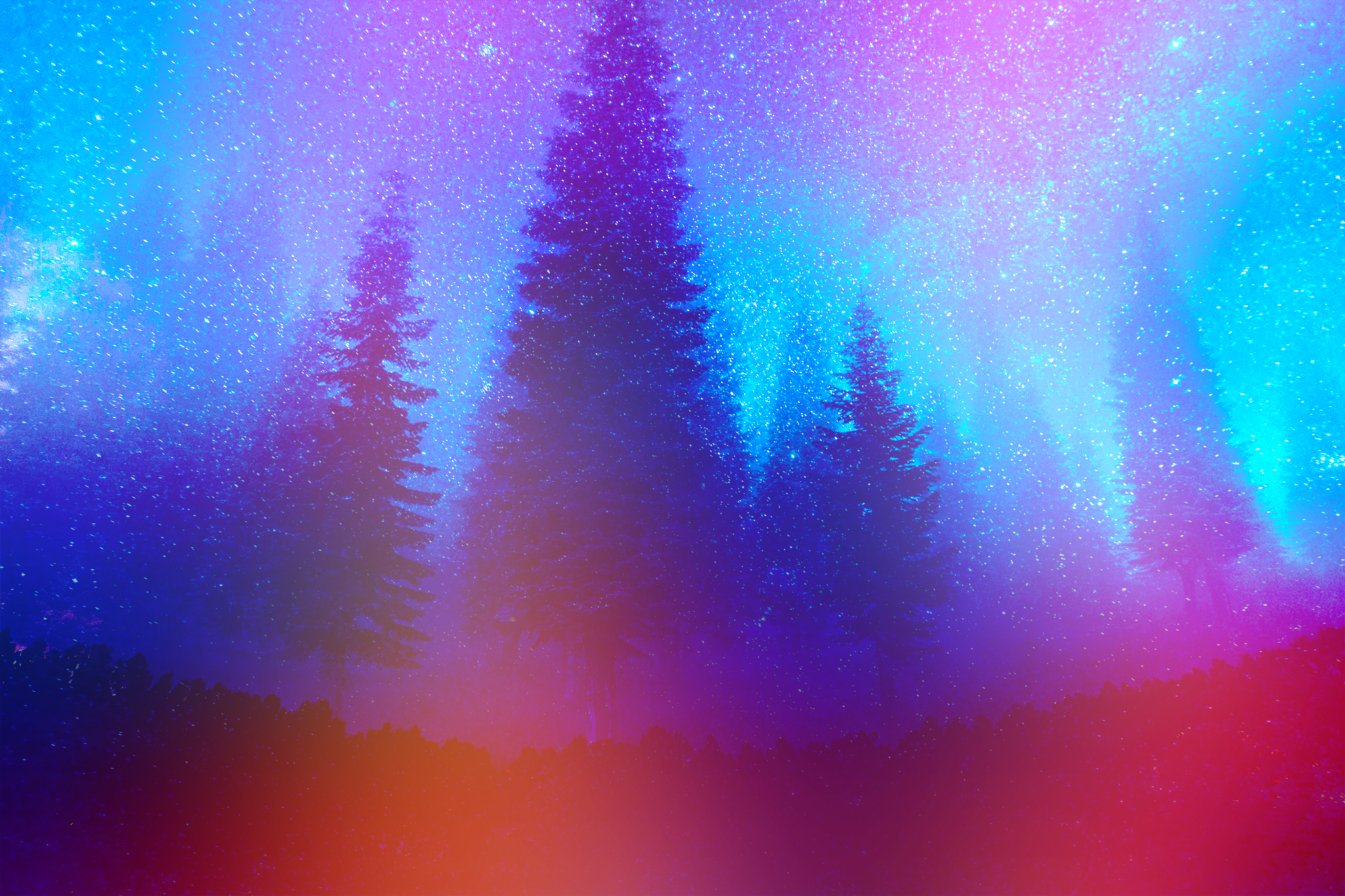 pine trees, forest, night, colorful, constellations, mist, stars, nature, retouching, HD Wallpaper