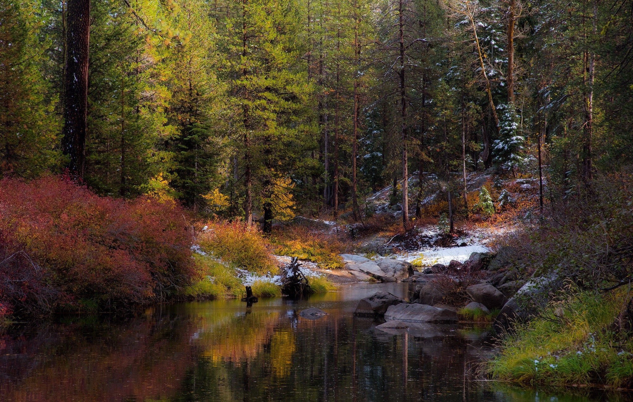 water, river, nature, forest, trees, frost, HD Wallpaper