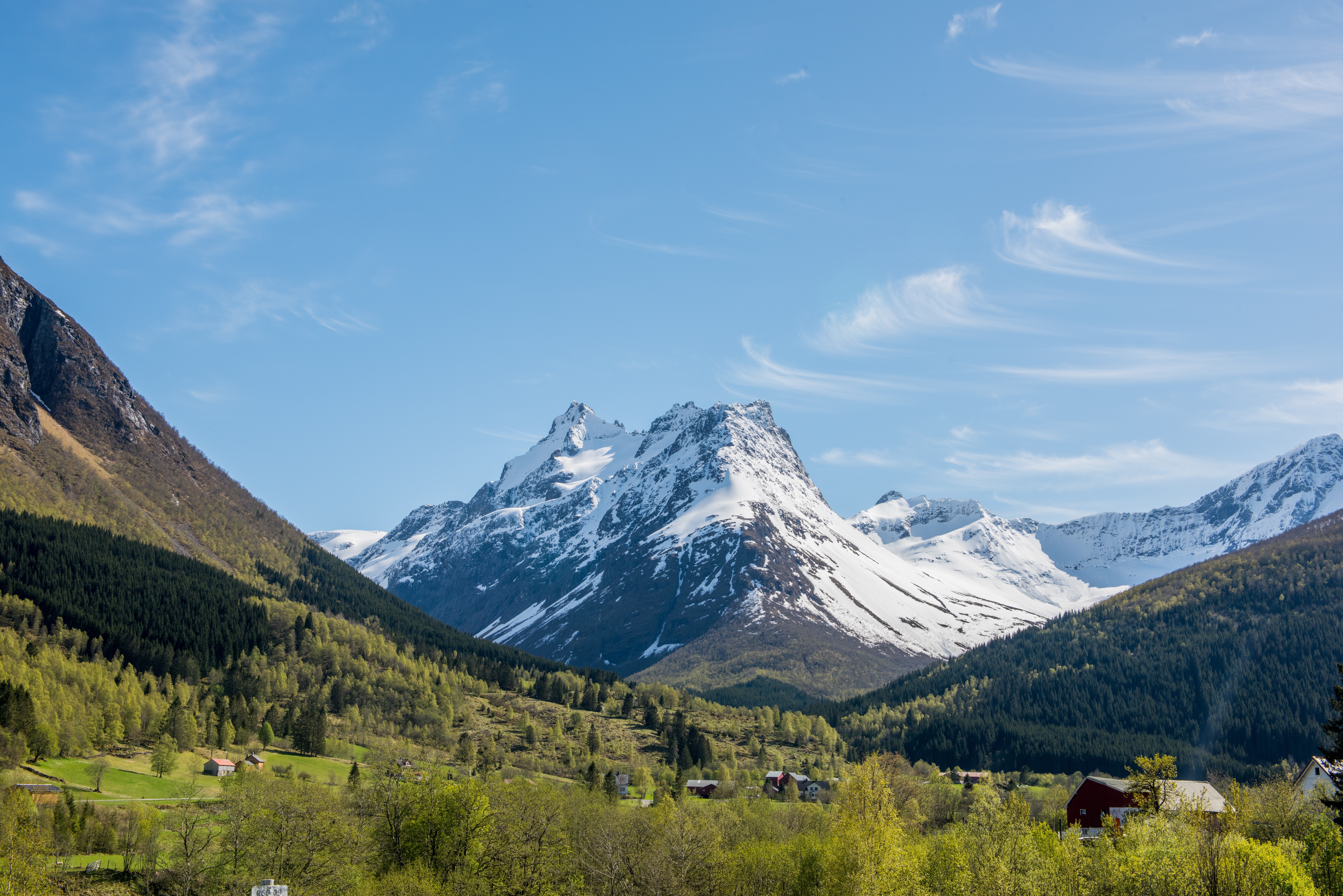 mountains, landscape, snow, forest, nature, HD Wallpaper