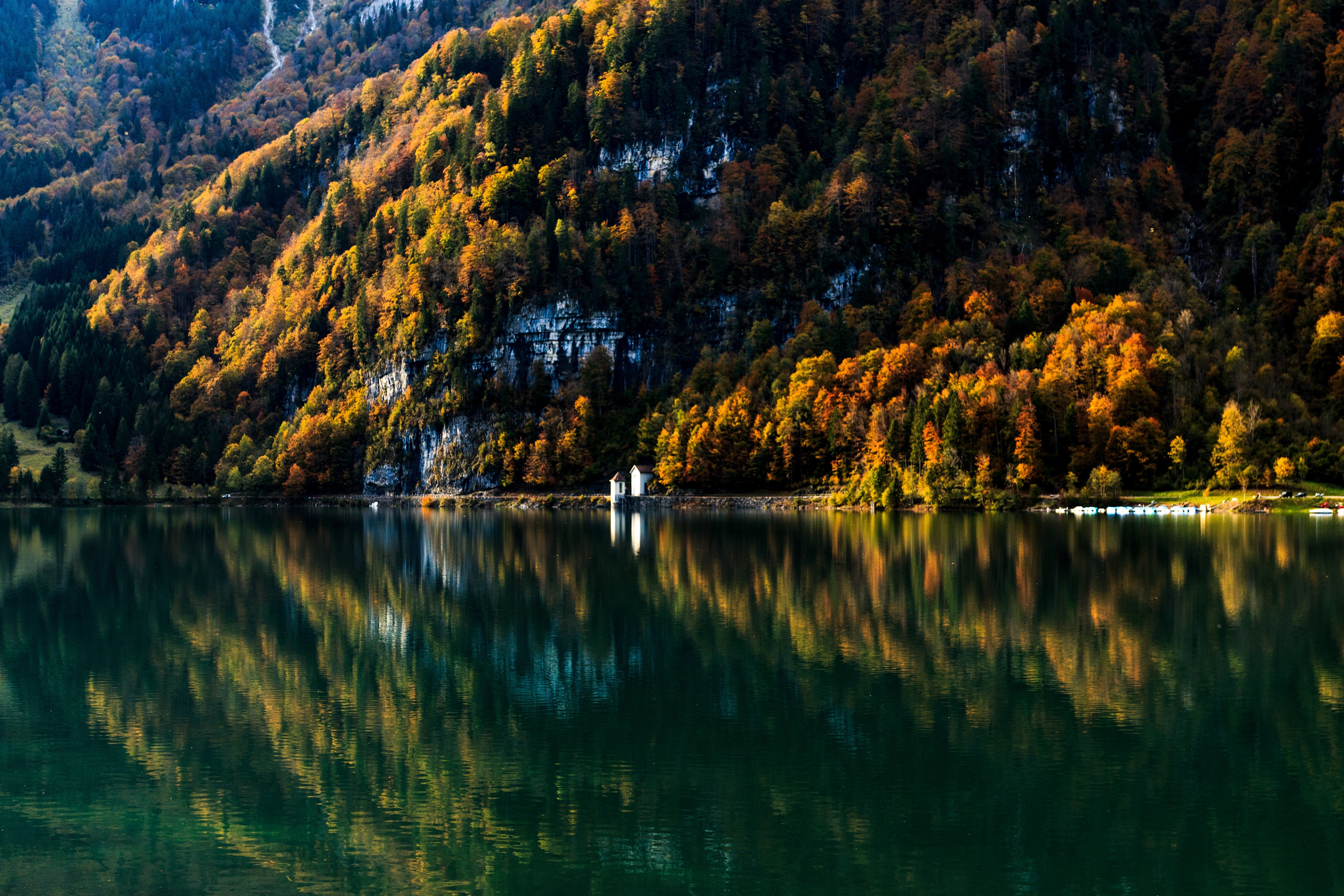 water, forest, mountains, reflection, nature, HD Wallpaper