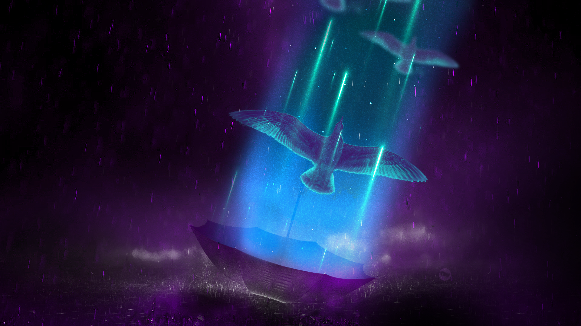 life, birds, umbrella, rain, night, HD Wallpaper