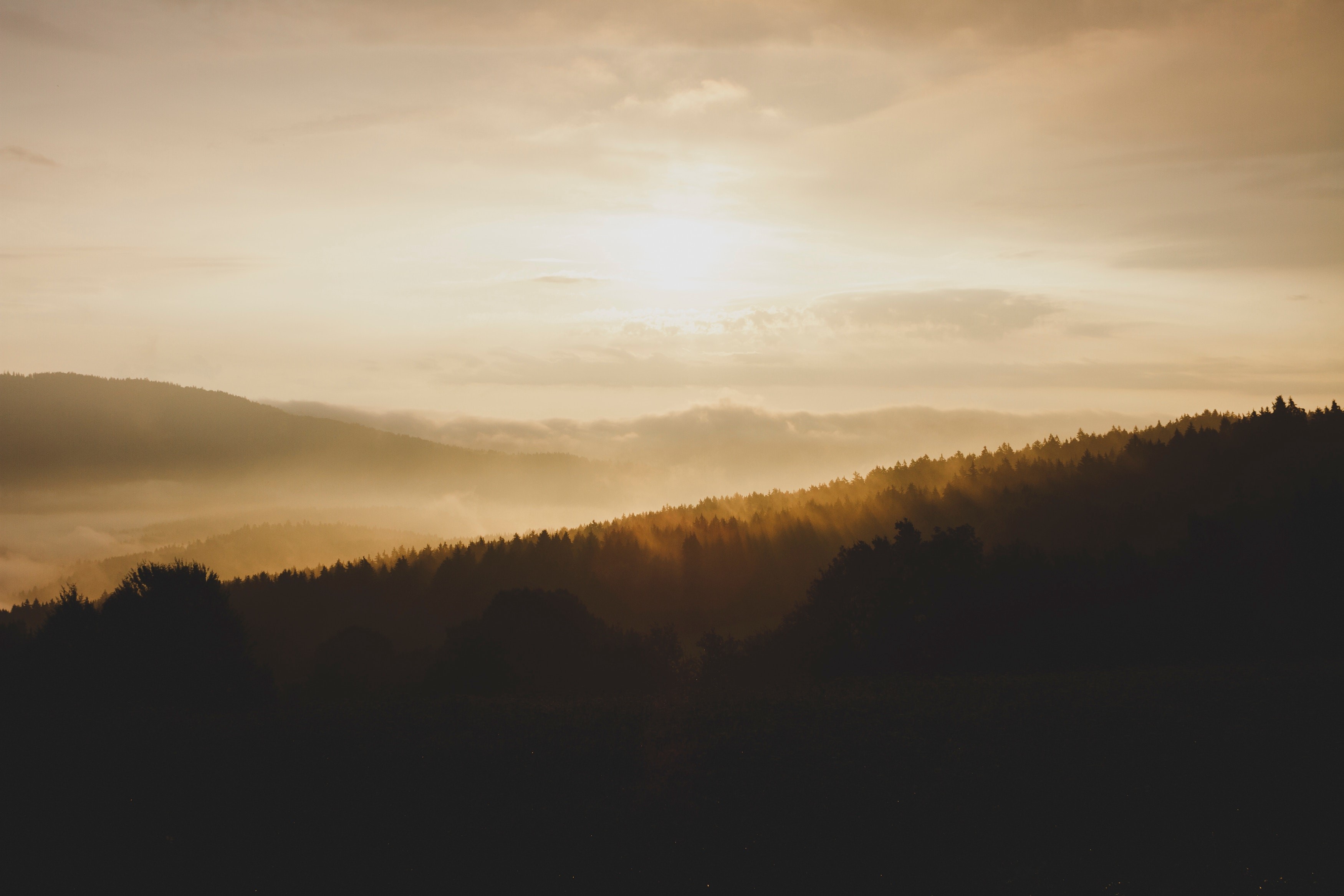 Sydney, hills, sunset, mist, clouds, landscape, HD Wallpaper