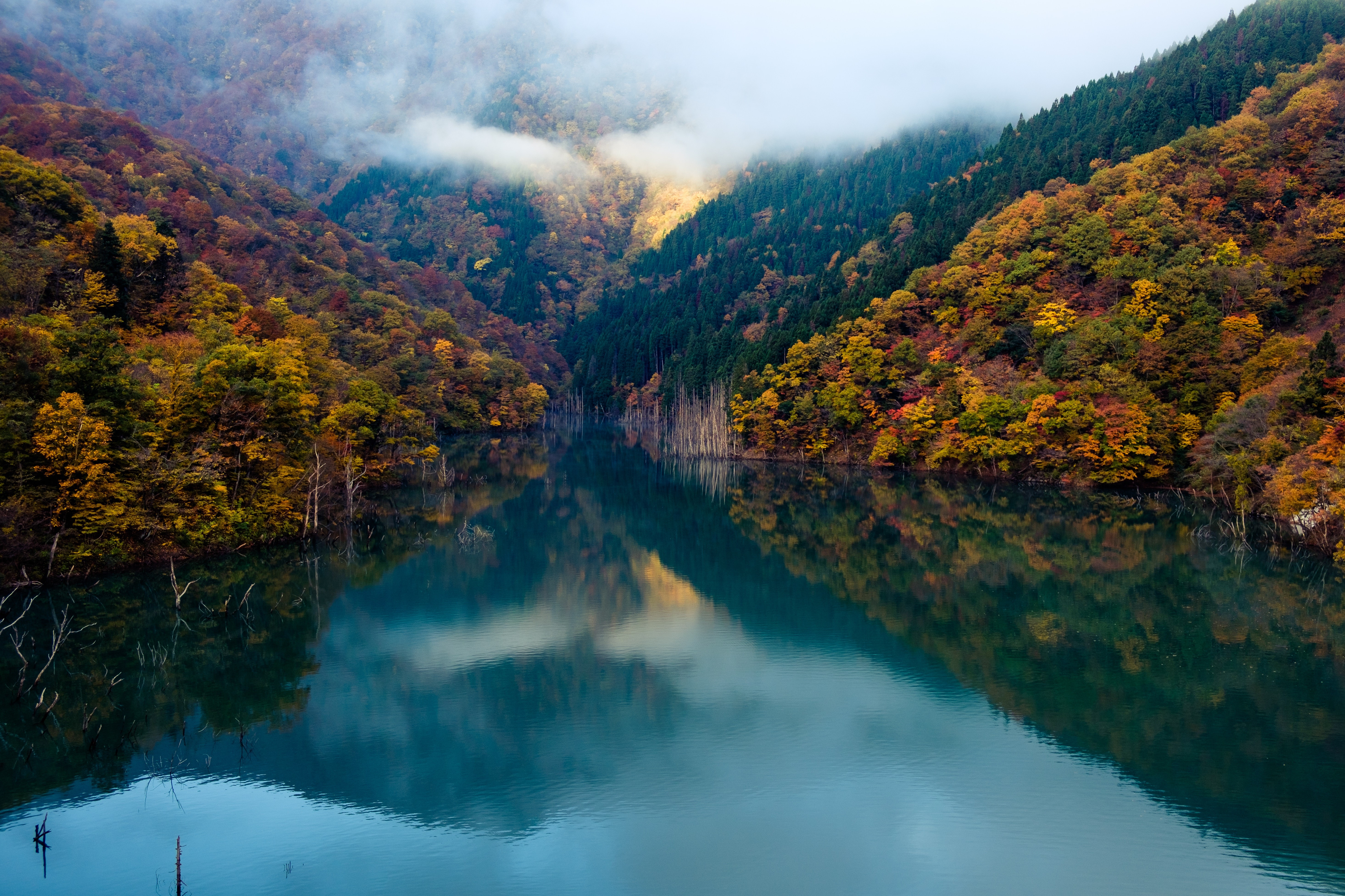 forest, river, water, nature, landscape, clouds, HD Wallpaper