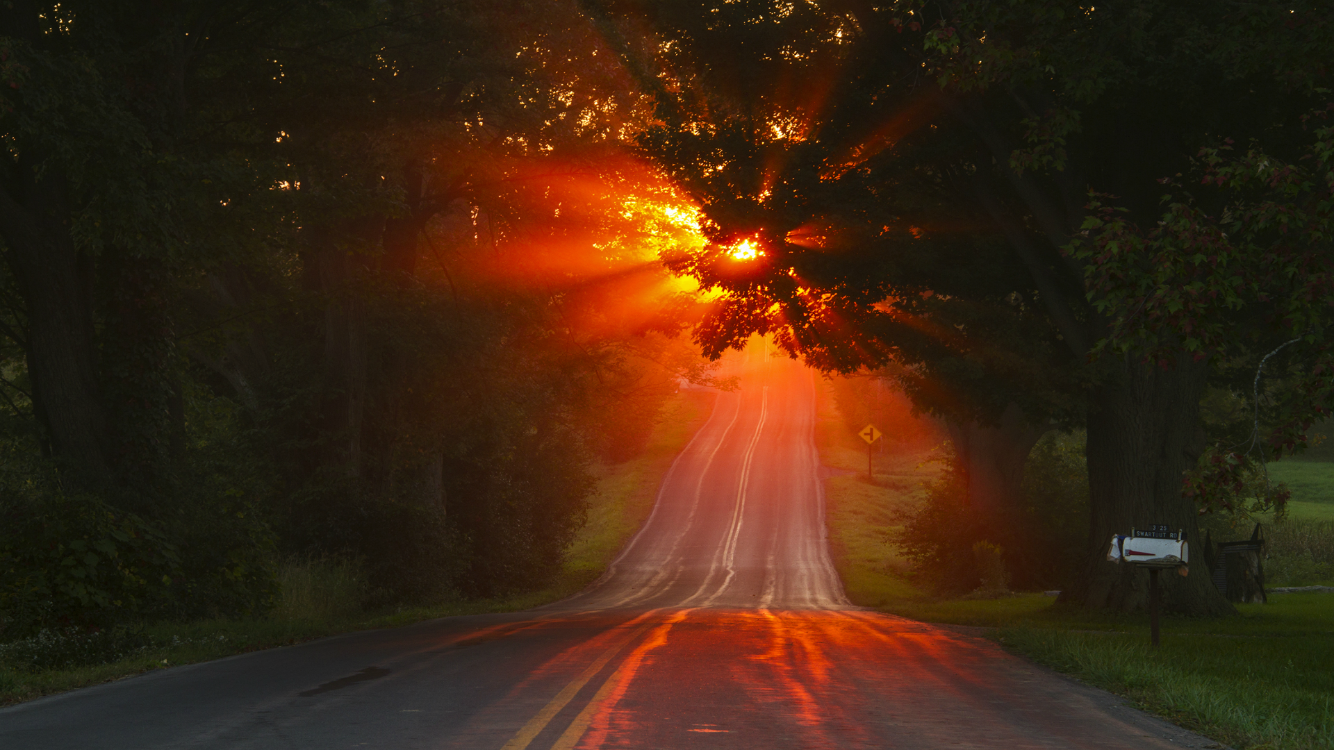 road, sunset, trees, HD Wallpaper