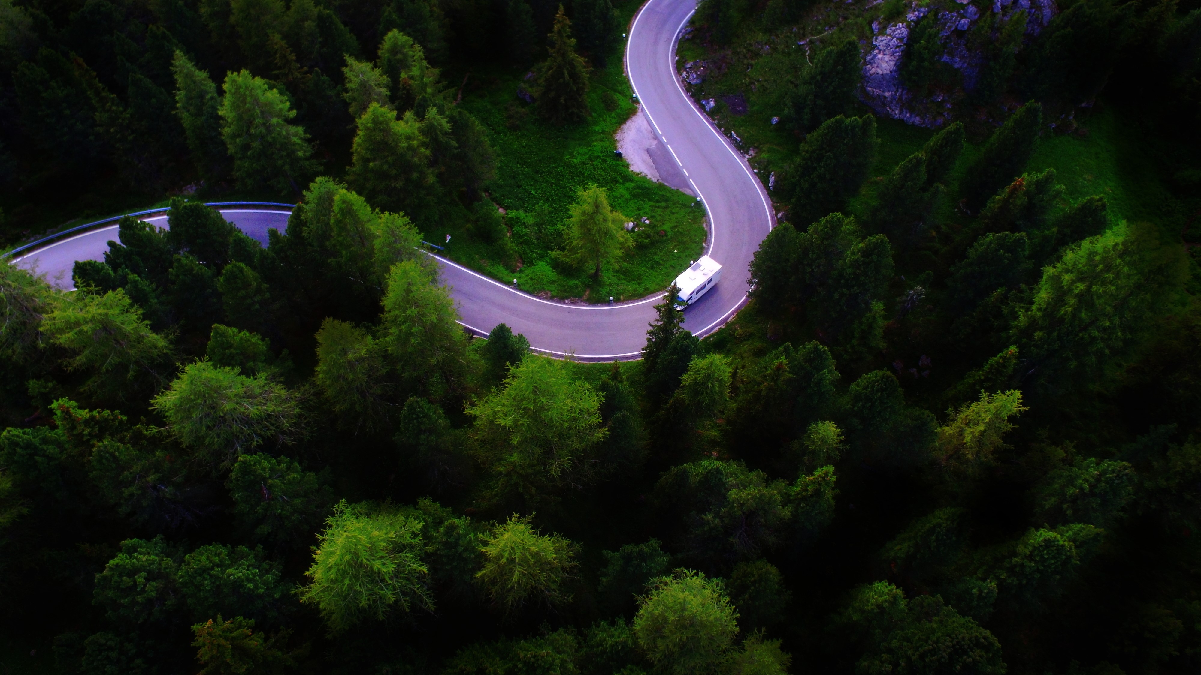 forest, trees, pine trees, Alps, rock, road, mountains, HD Wallpaper