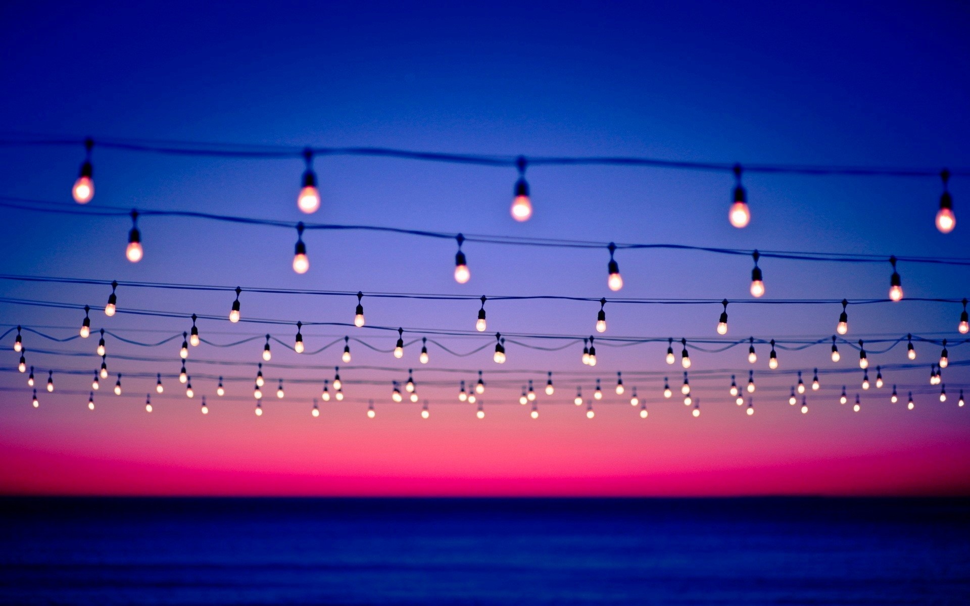 sunset, light bulb, nature, depth of field, HD Wallpaper