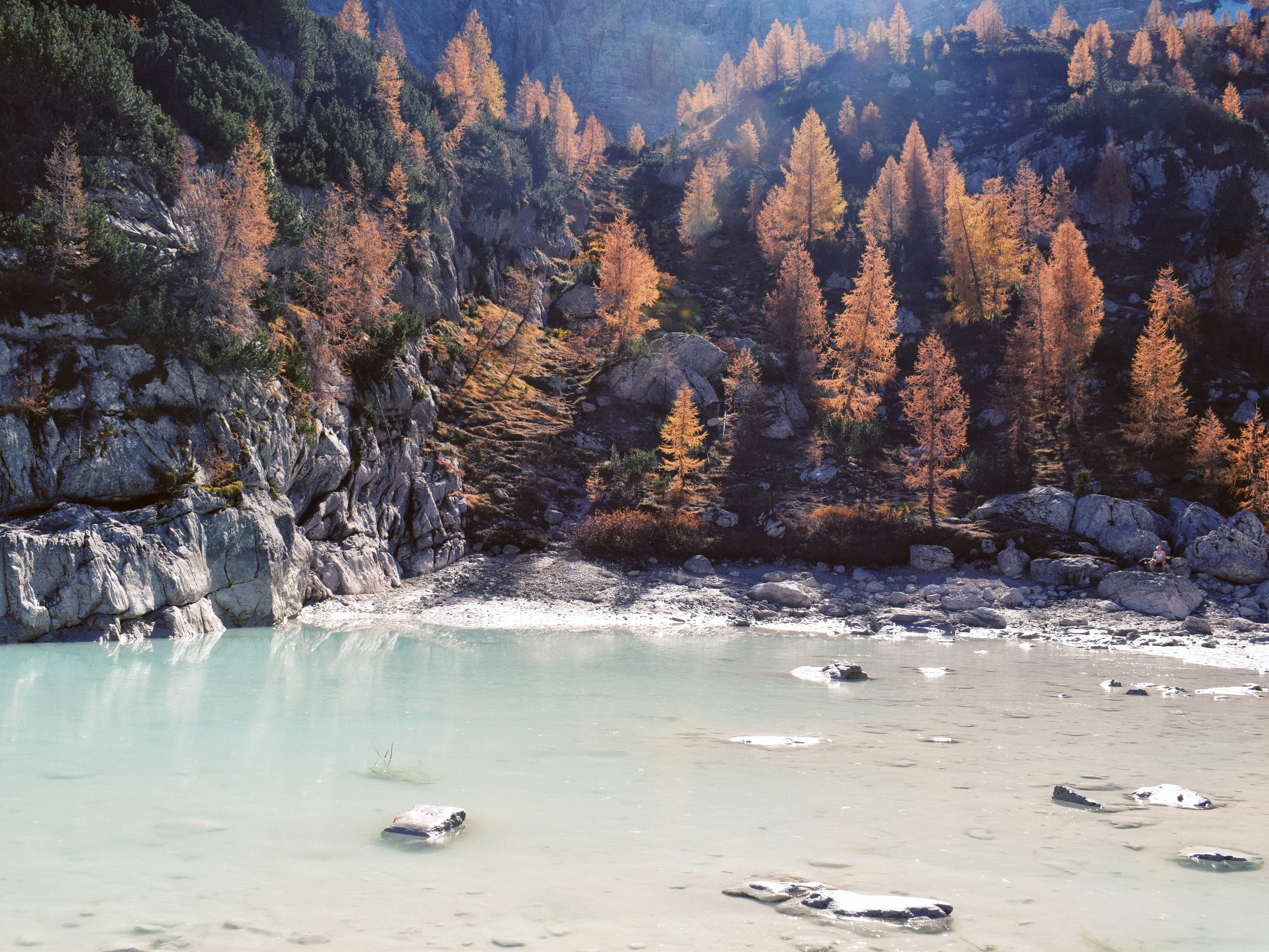 nature, water, trees, rock, HD Wallpaper