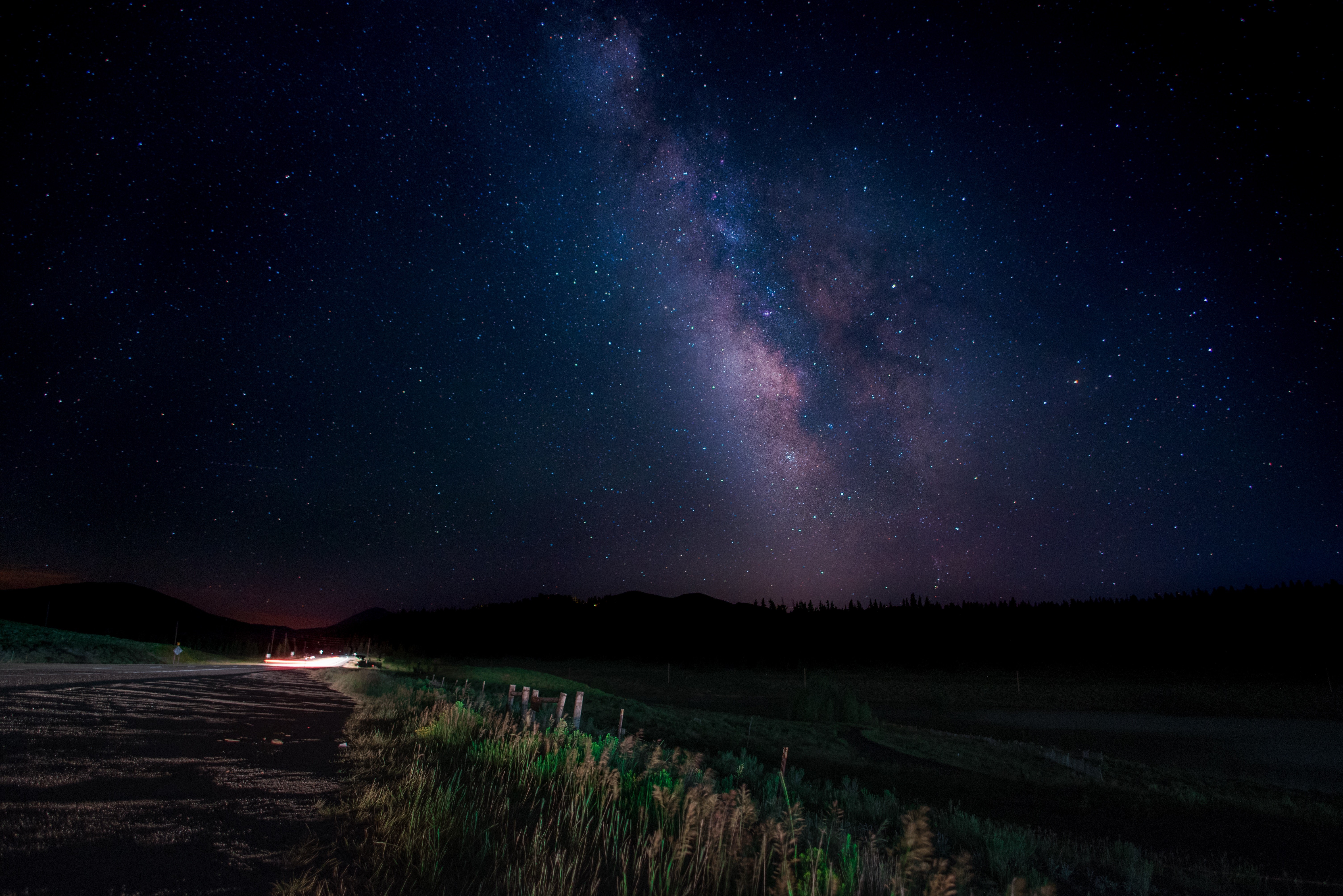 nature, stars, trees, HD Wallpaper