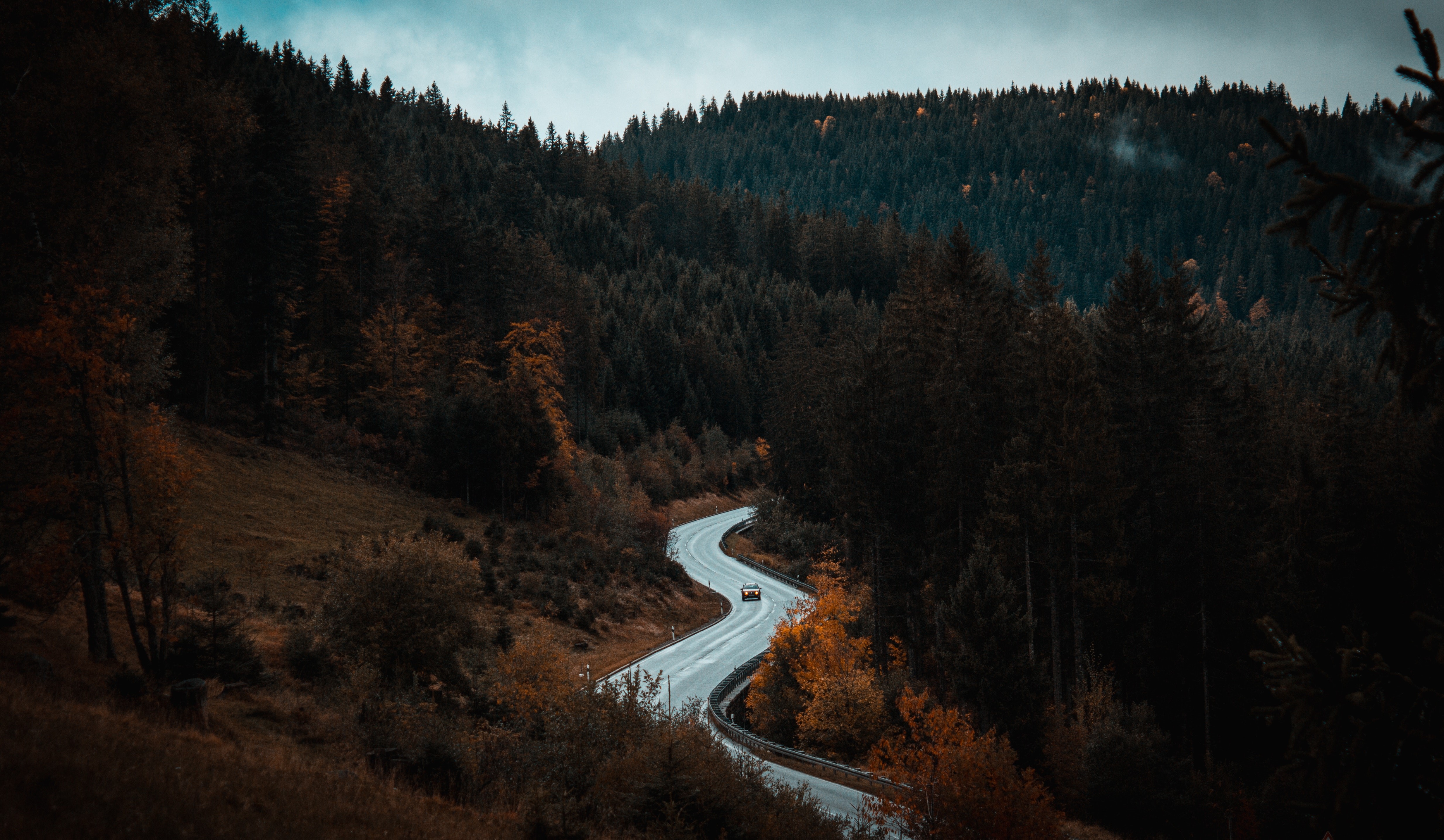 nature, trees, road, HD Wallpaper