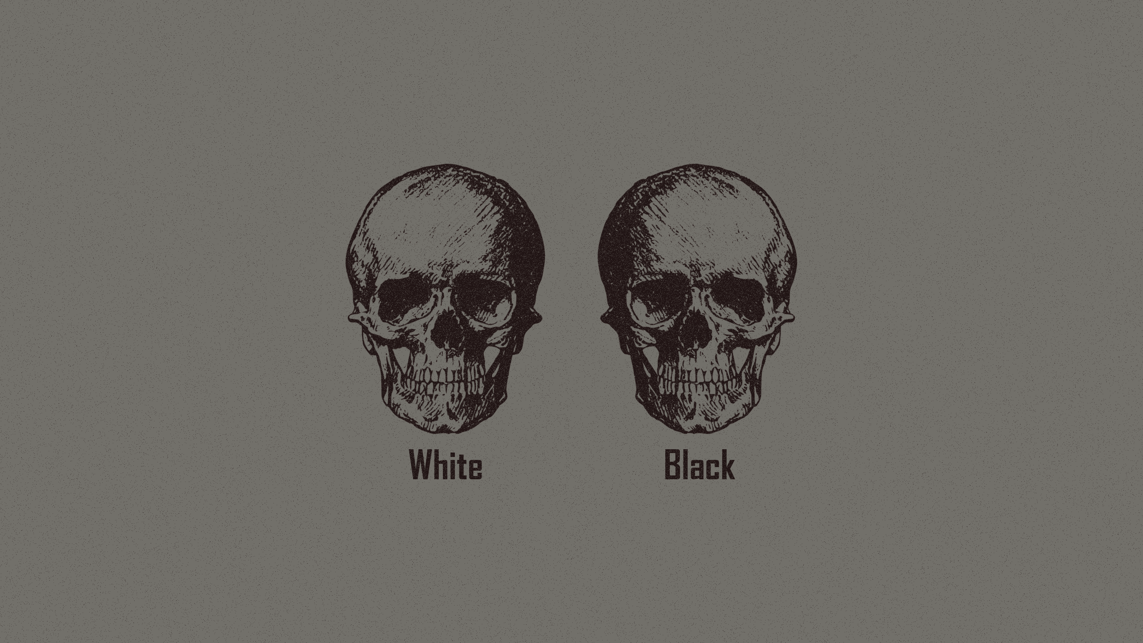 skull, monochrome, minimalism, logic, HD Wallpaper