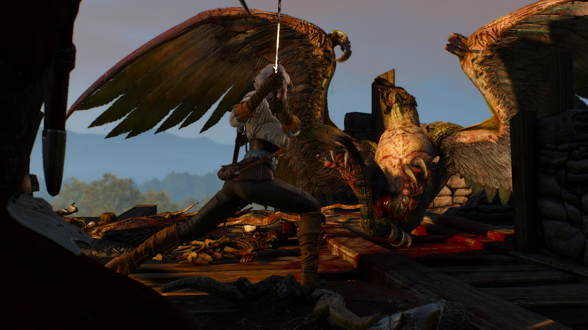 The Witcher 3: Wild Hunt, Cirilla Fiona Elen Riannon, video games, RPG, creature, HD Wallpaper