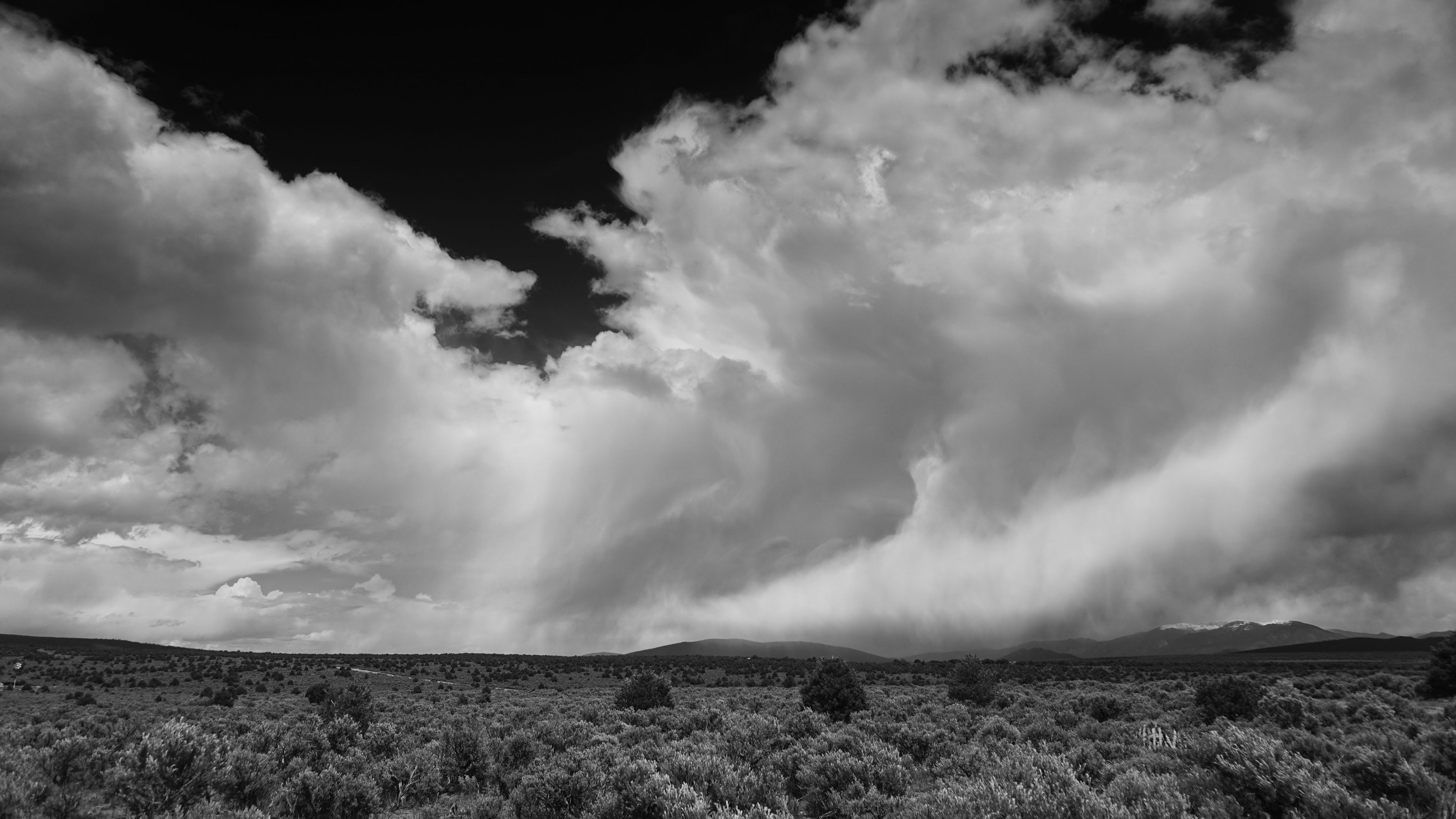 clouds, landscape, bw, bushes, trees, hills, 4k, HD Wallpaper
