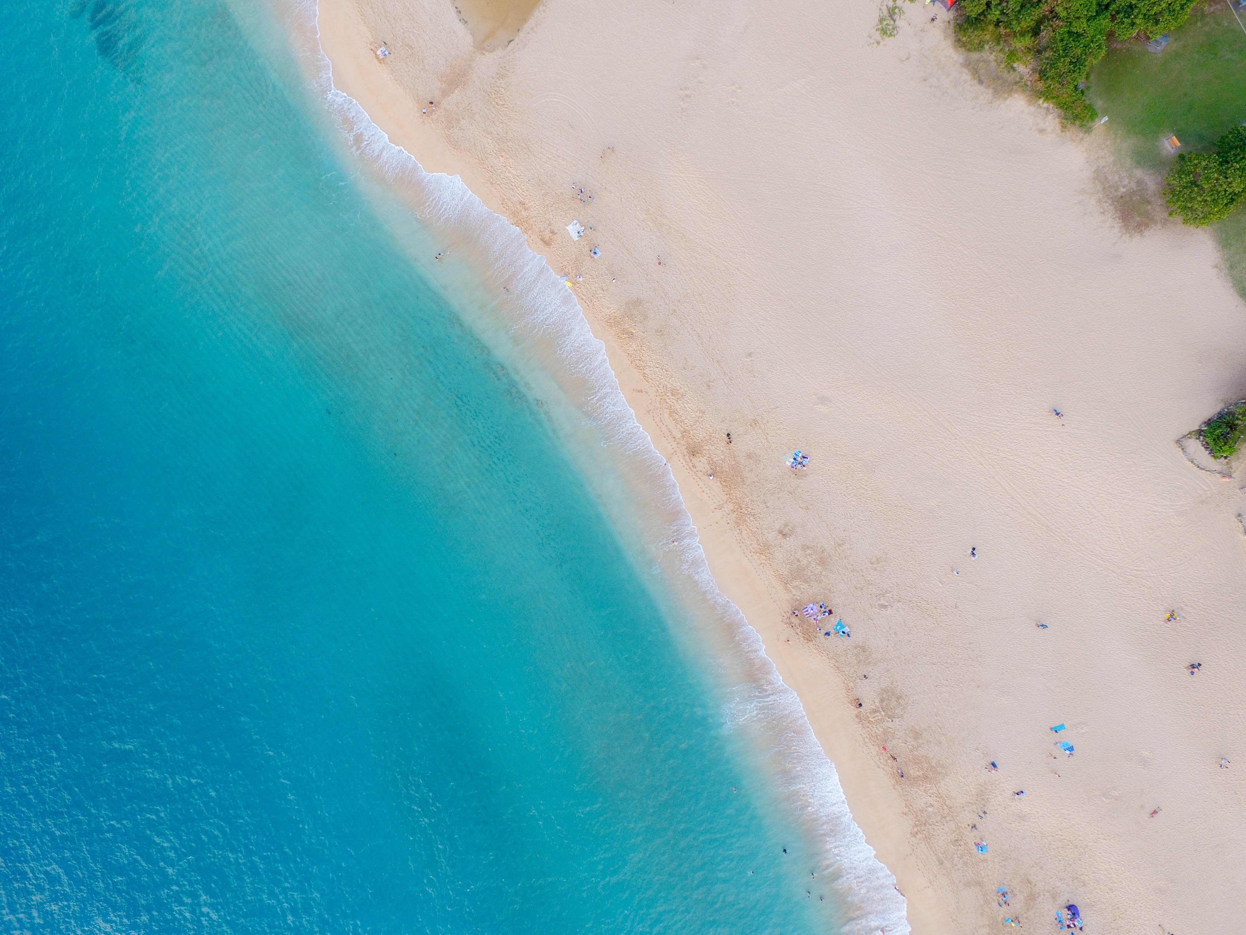 nature, water, beach, people, trees, drone photo, cyan, turquoise, HD Wallpaper