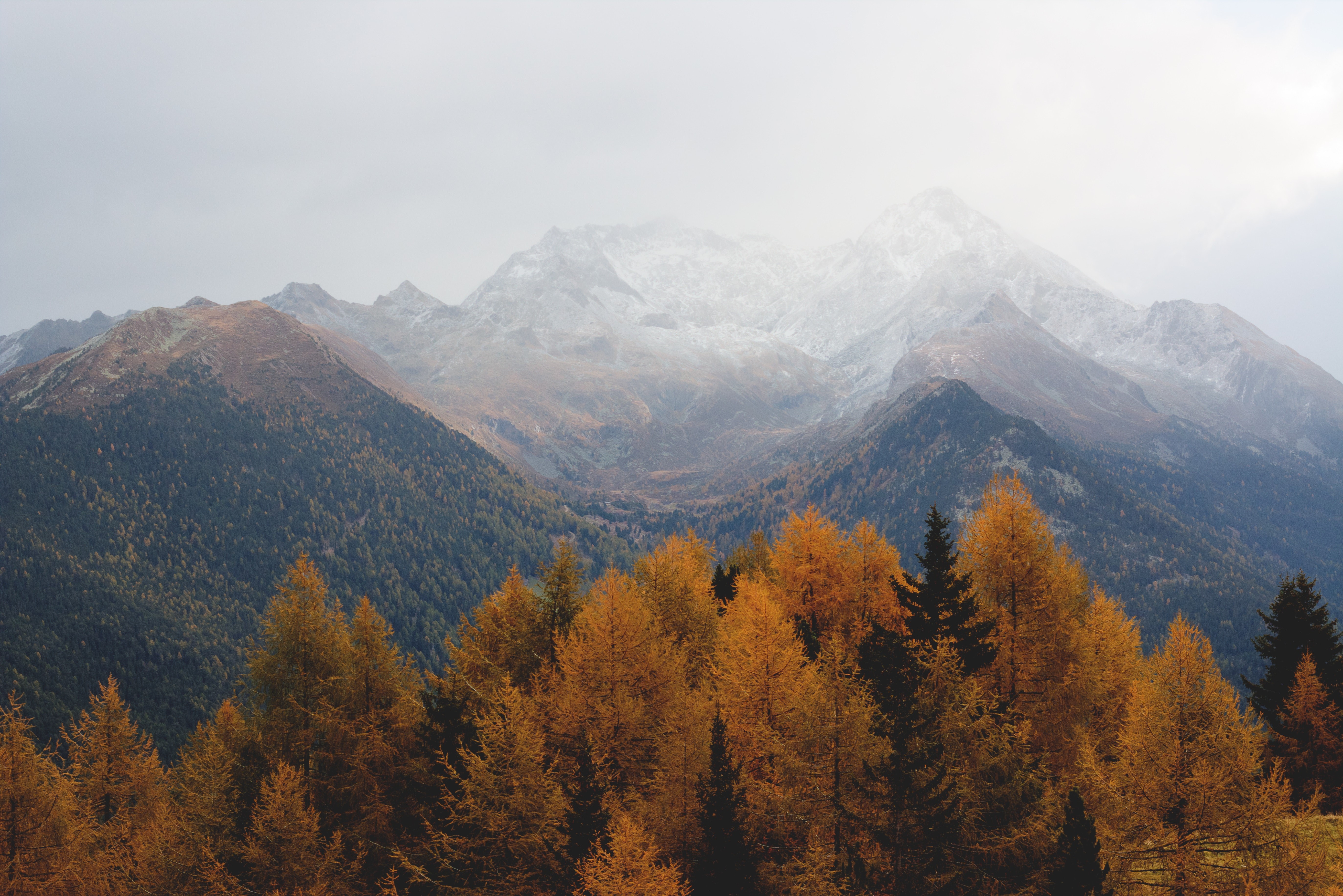 nature, trees, landscape, fall, HD Wallpaper