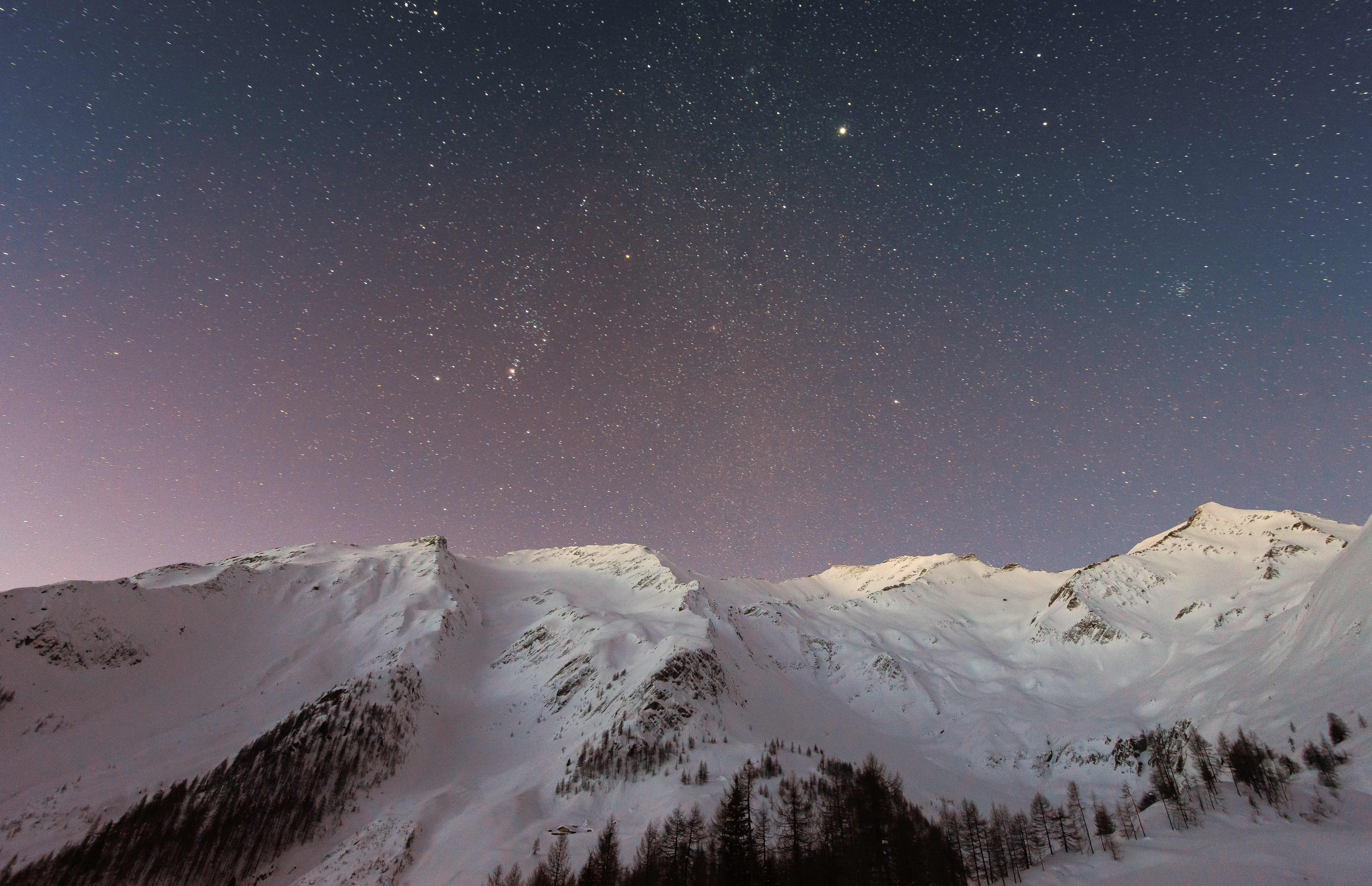 nature, snow, sky, trees, stars, HD Wallpaper