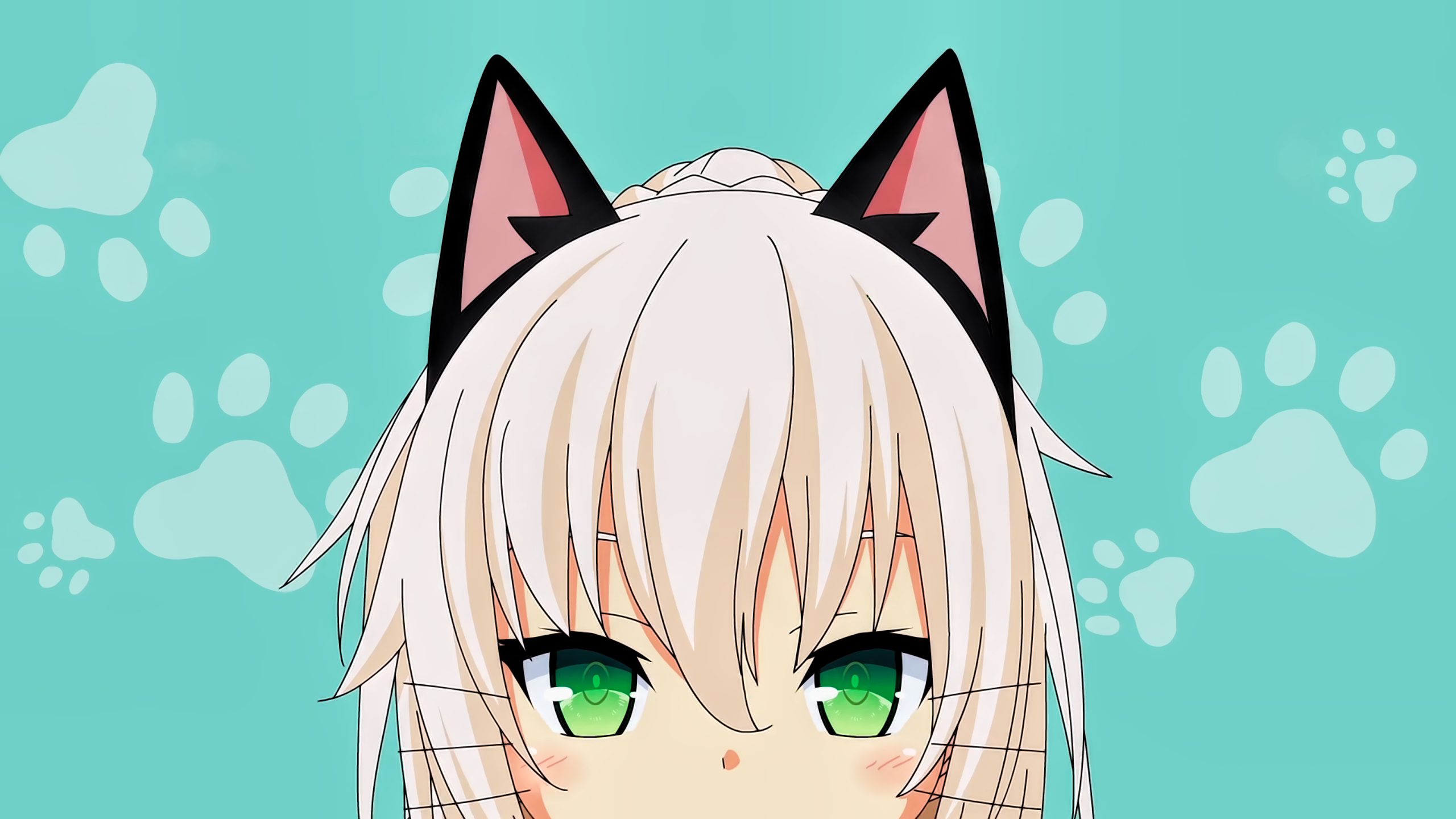 anime, Nora to Oujo to Noraneko Heart, anime girls, Shachi Yuuri, green eyes, simple background, nekomimi, HD Wallpaper