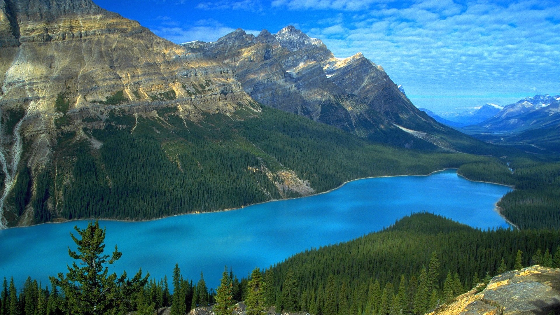 mountains, lake, forest, landscape, HD Wallpaper
