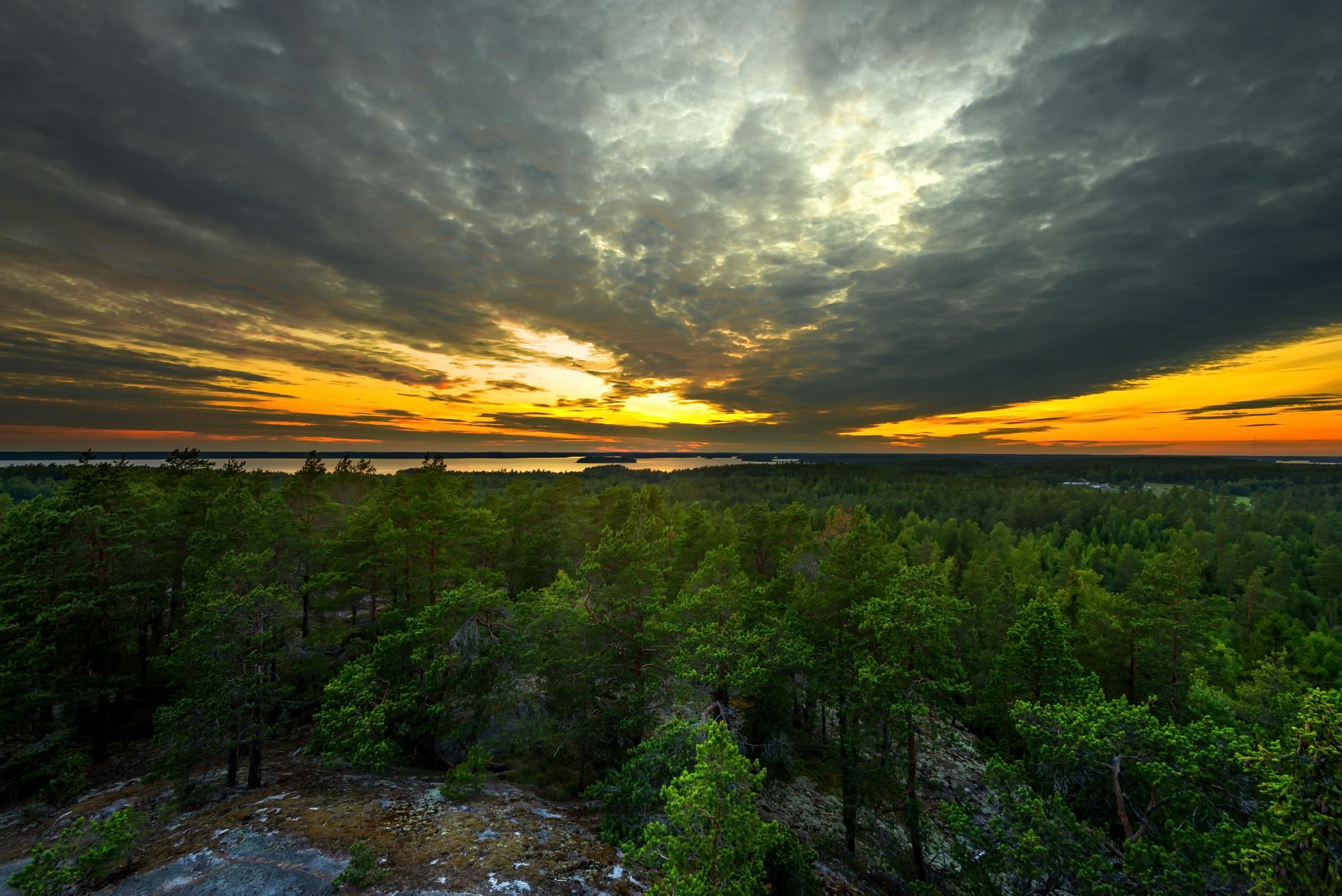 sky, sunlight, nature, clouds, trees, HD Wallpaper