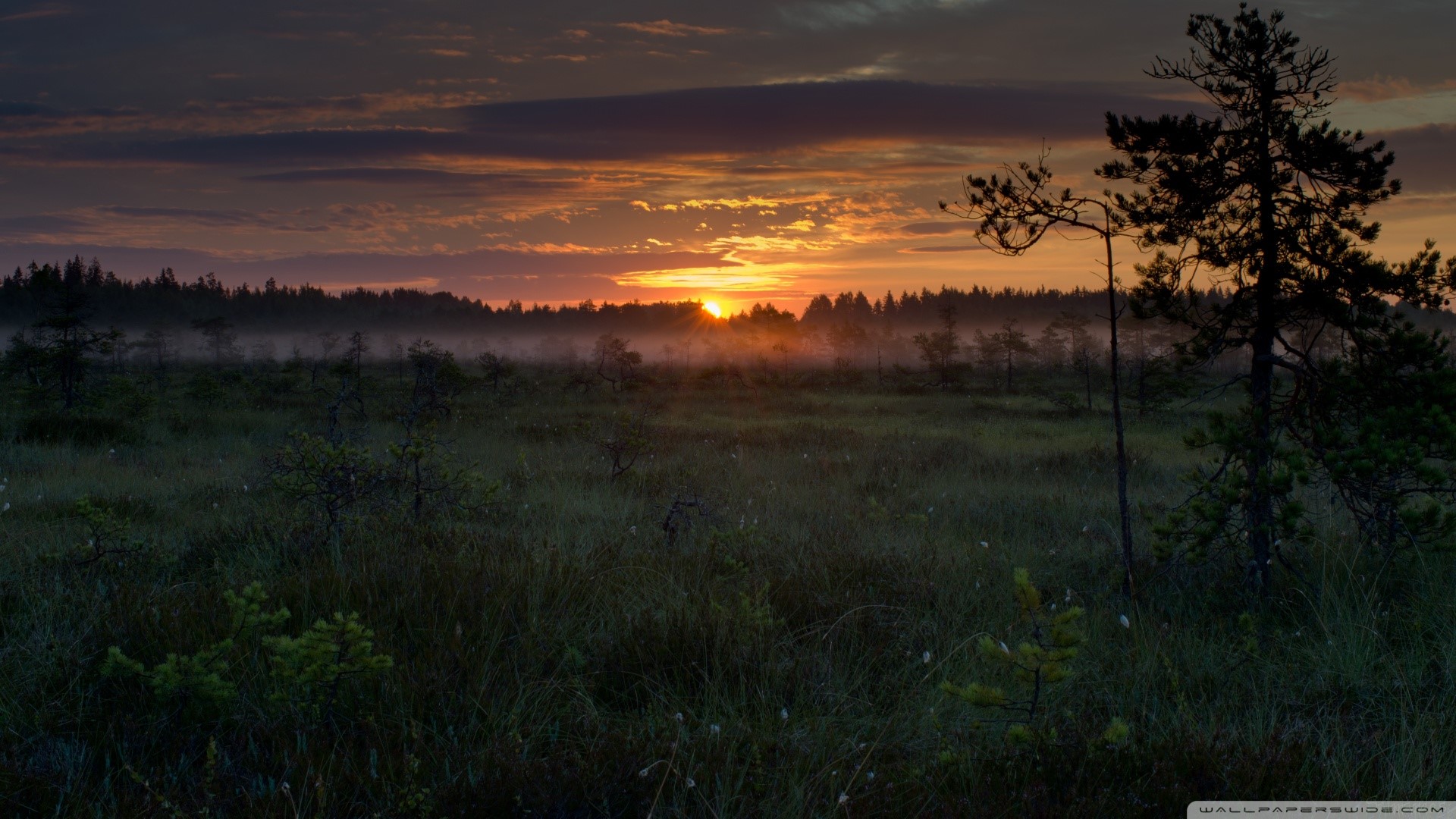 sunrise, sky, dark, nature, landscape, HD Wallpaper