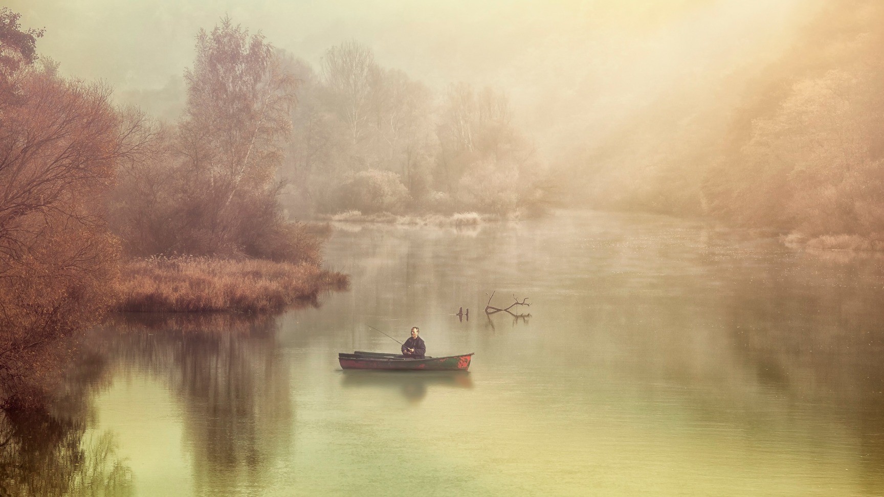 fishing, nature, painting, HD Wallpaper