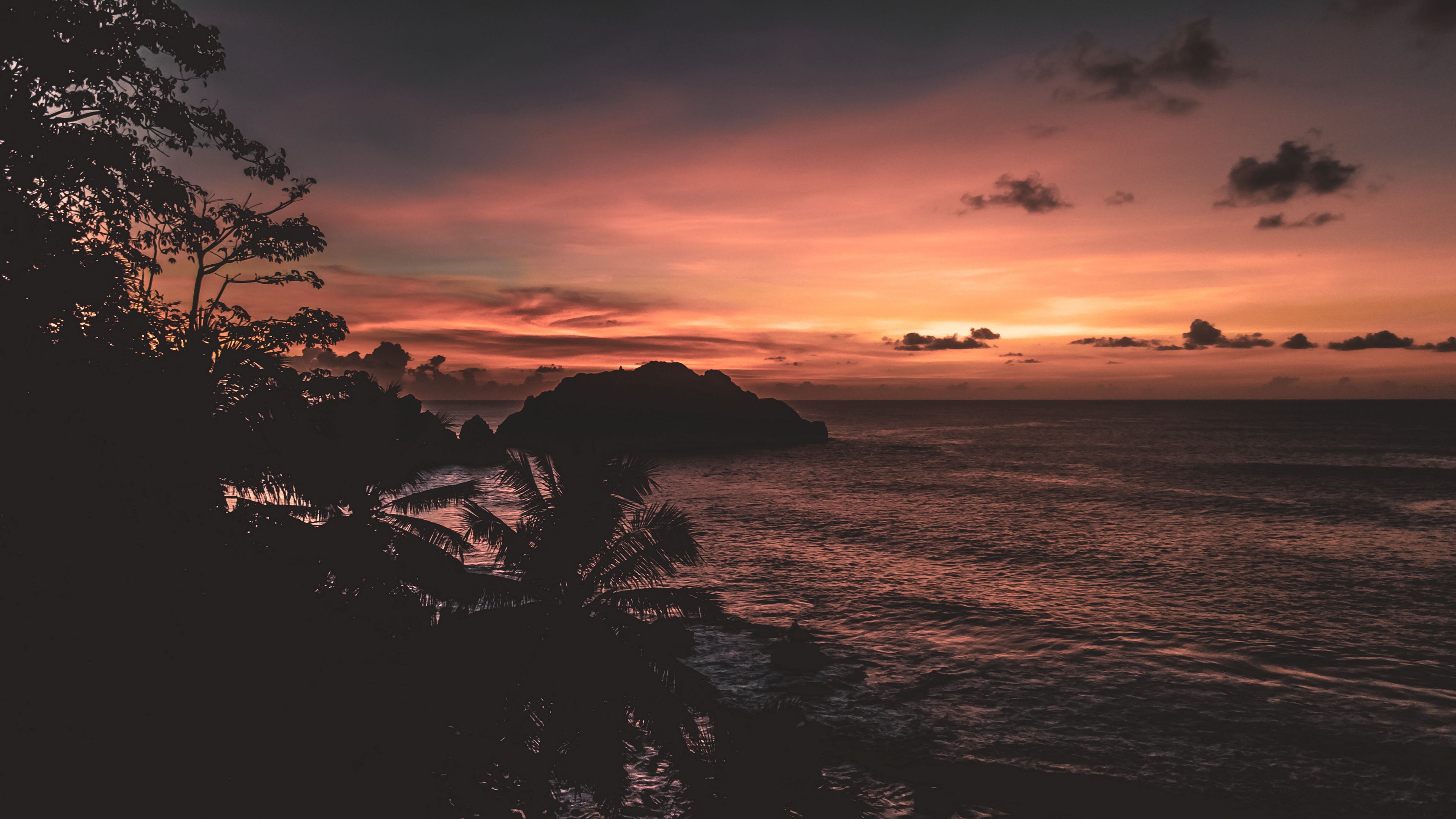sea, palm trees, rock, dark, outlines, twiligh, 4k, HD Wallpaper