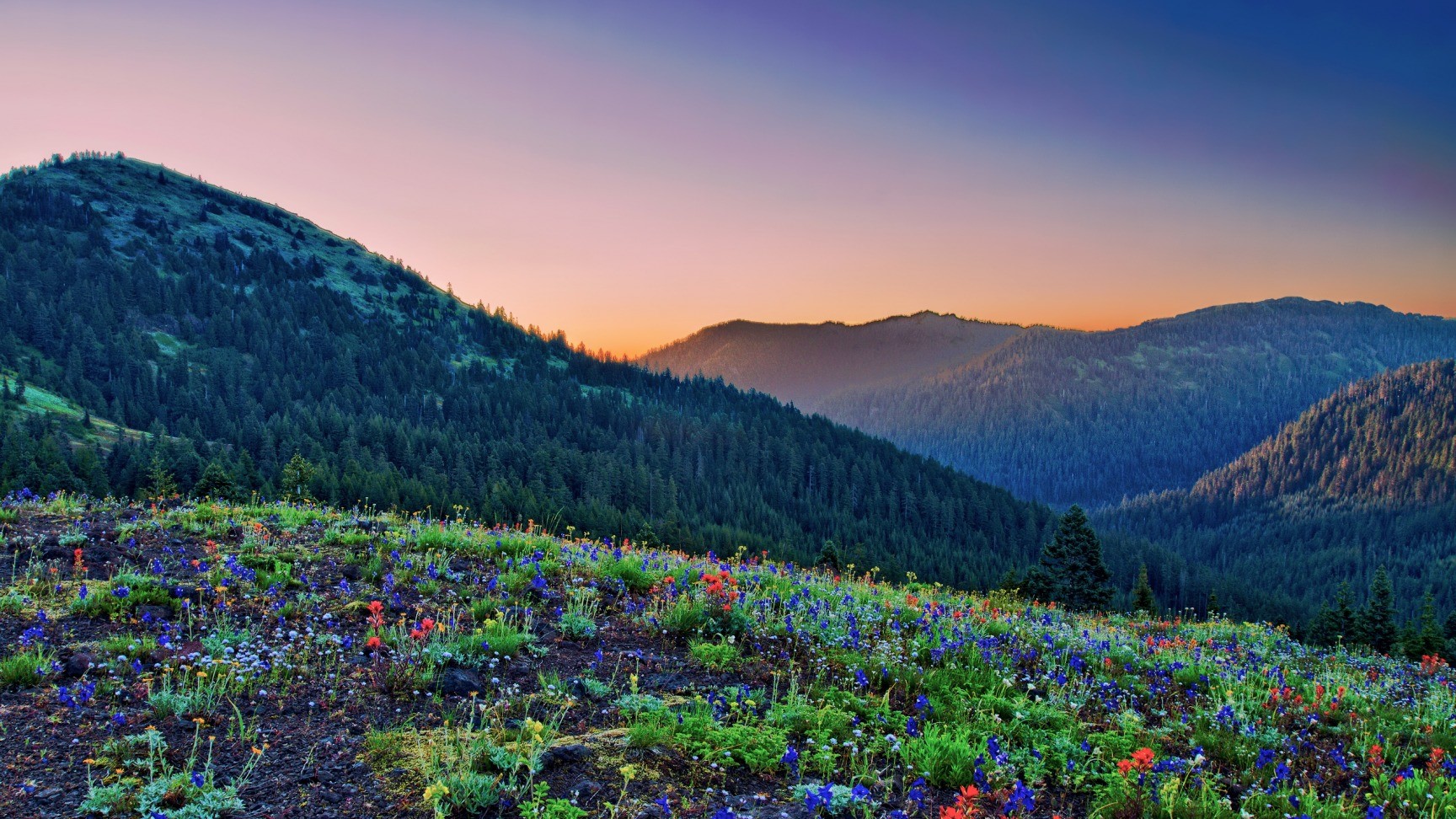 colorful, mountains, nature, landscape, flowers, HD Wallpaper