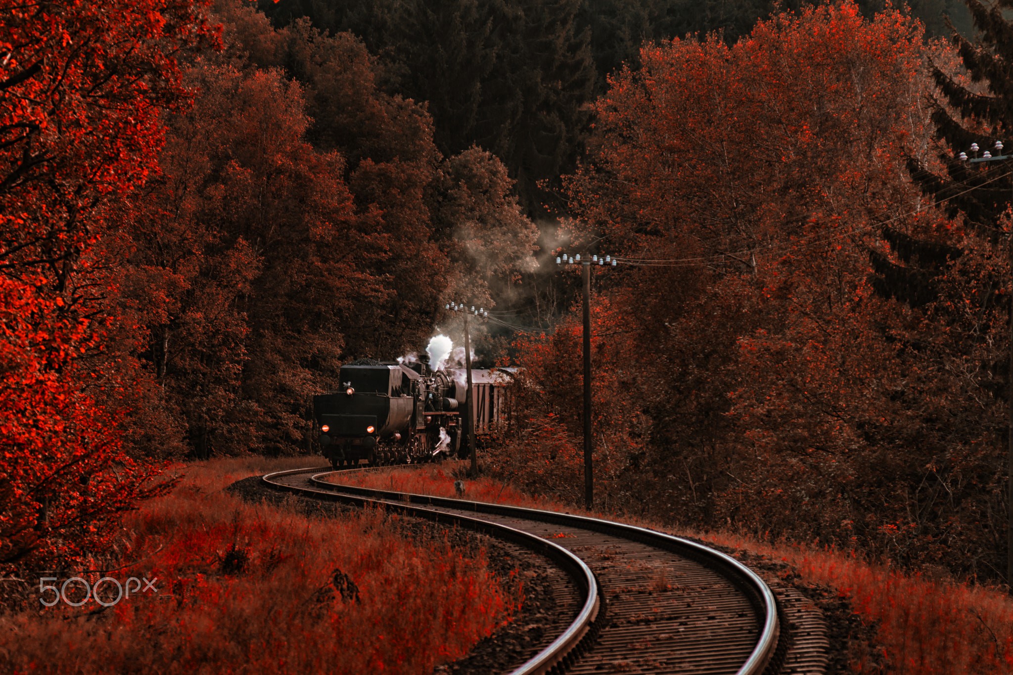 red, nature, landscape, 500px, Niko Angelopoulos, railway, train, trees, vehicle, HD Wallpaper