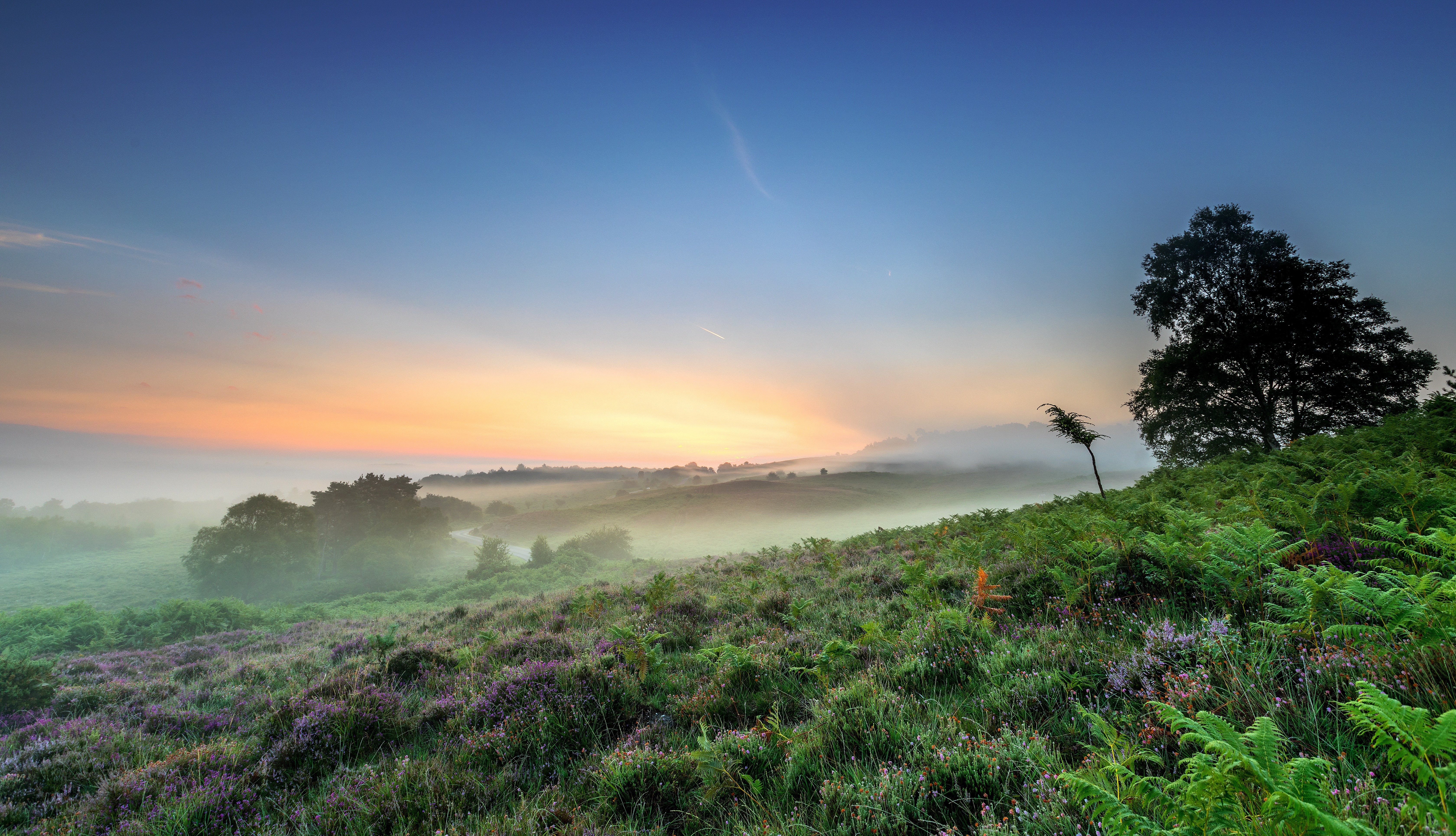 nature, sky, landscape, sunlight, blue, green, HD Wallpaper