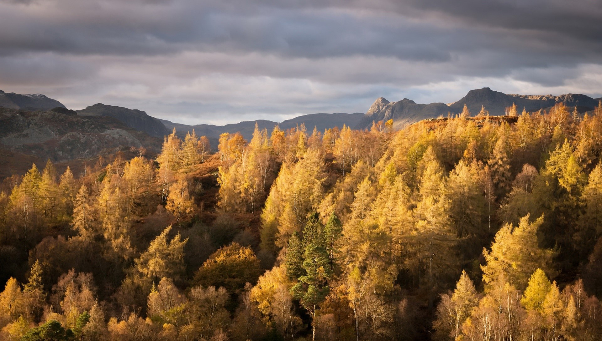 nature, fall, landscape, trees, mountains, HD Wallpaper