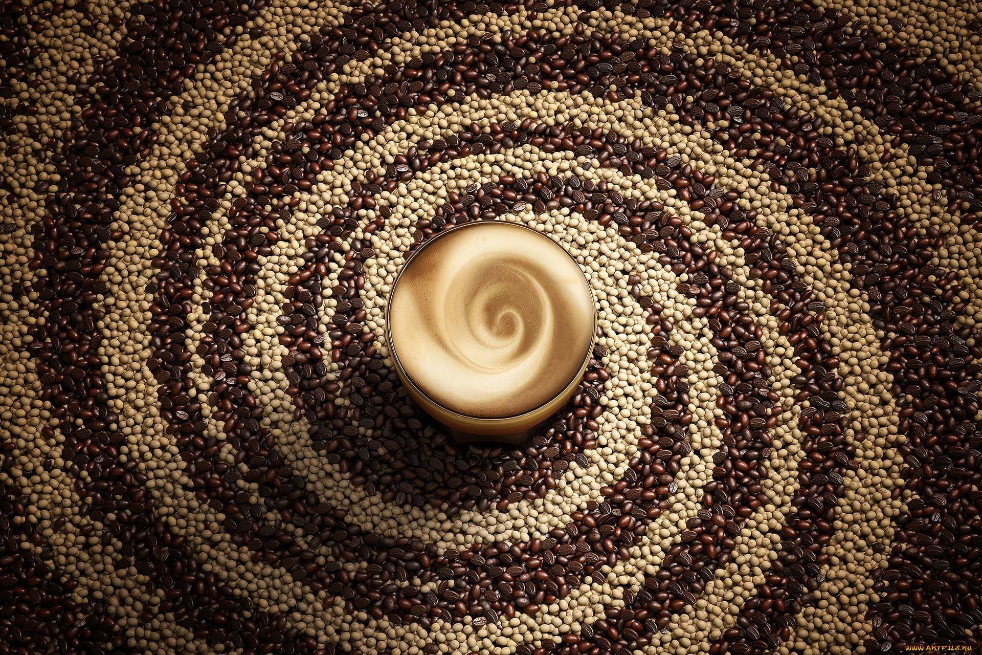 coffee, coffee beans, drinking glass, brown, HD Wallpaper