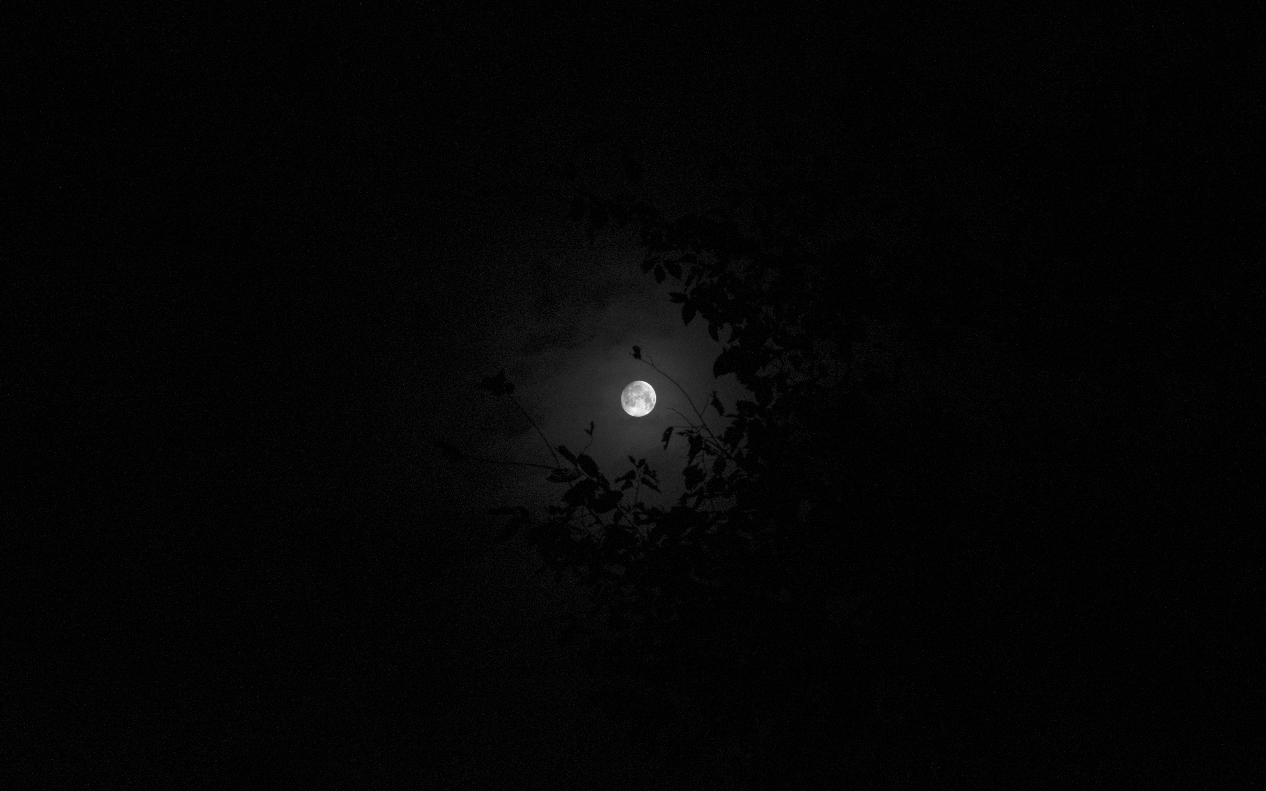 Moon, night, sky, HD Wallpaper
