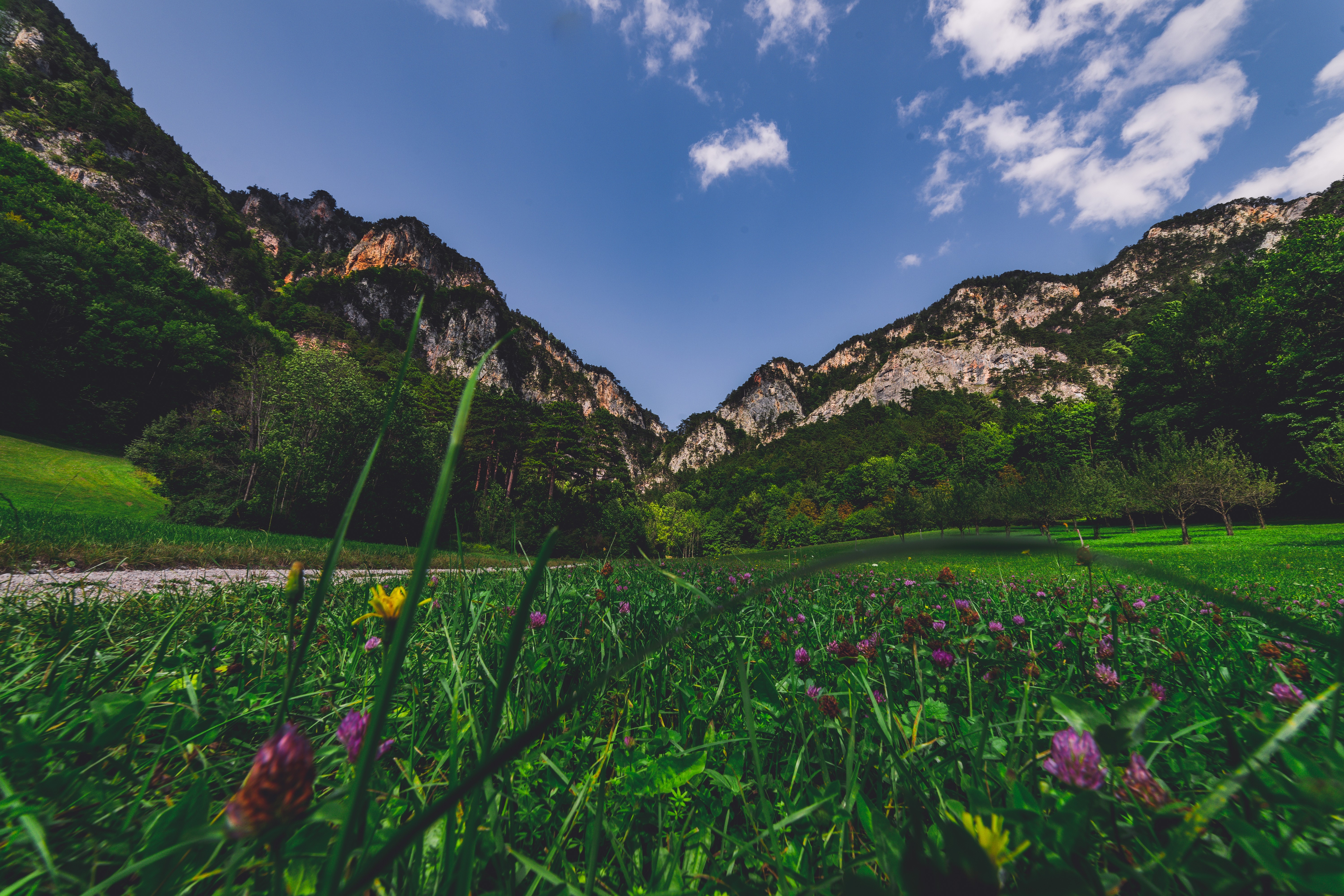 mountains, nature, landscape, summer, HD Wallpaper