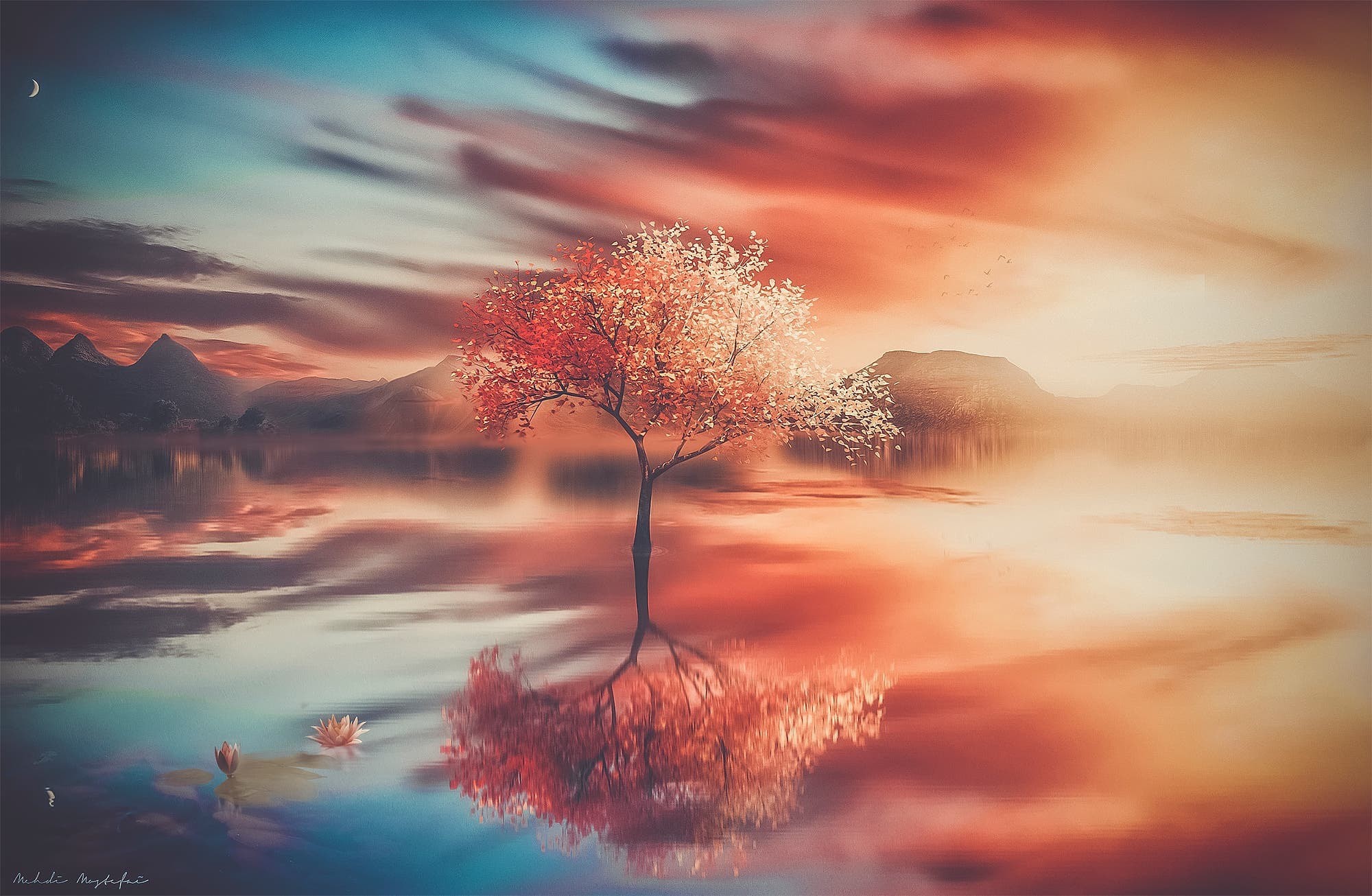 digital art, 500px, Mehdi Mostefaï, nature, trees, water, reflection, fantasy art, sky, HD Wallpaper