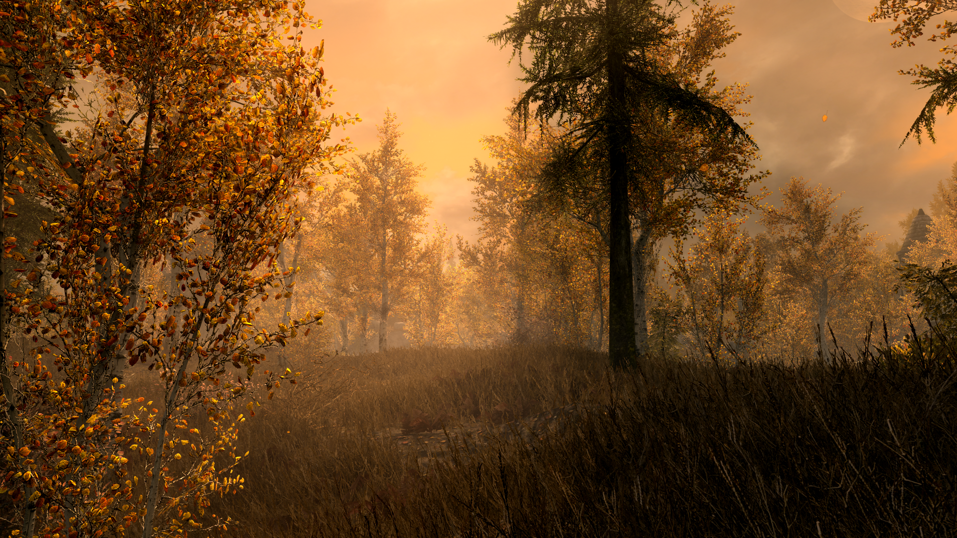 The Elder Scrolls V: Skyrim, forest, fall, orange, peaceful, HD Wallpaper
