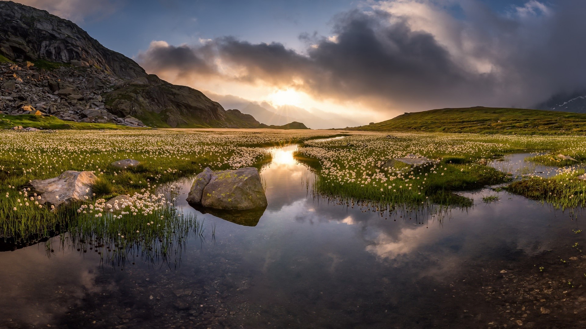 landscape, lake, nature, sky, flowers, water, reflection, HD Wallpaper