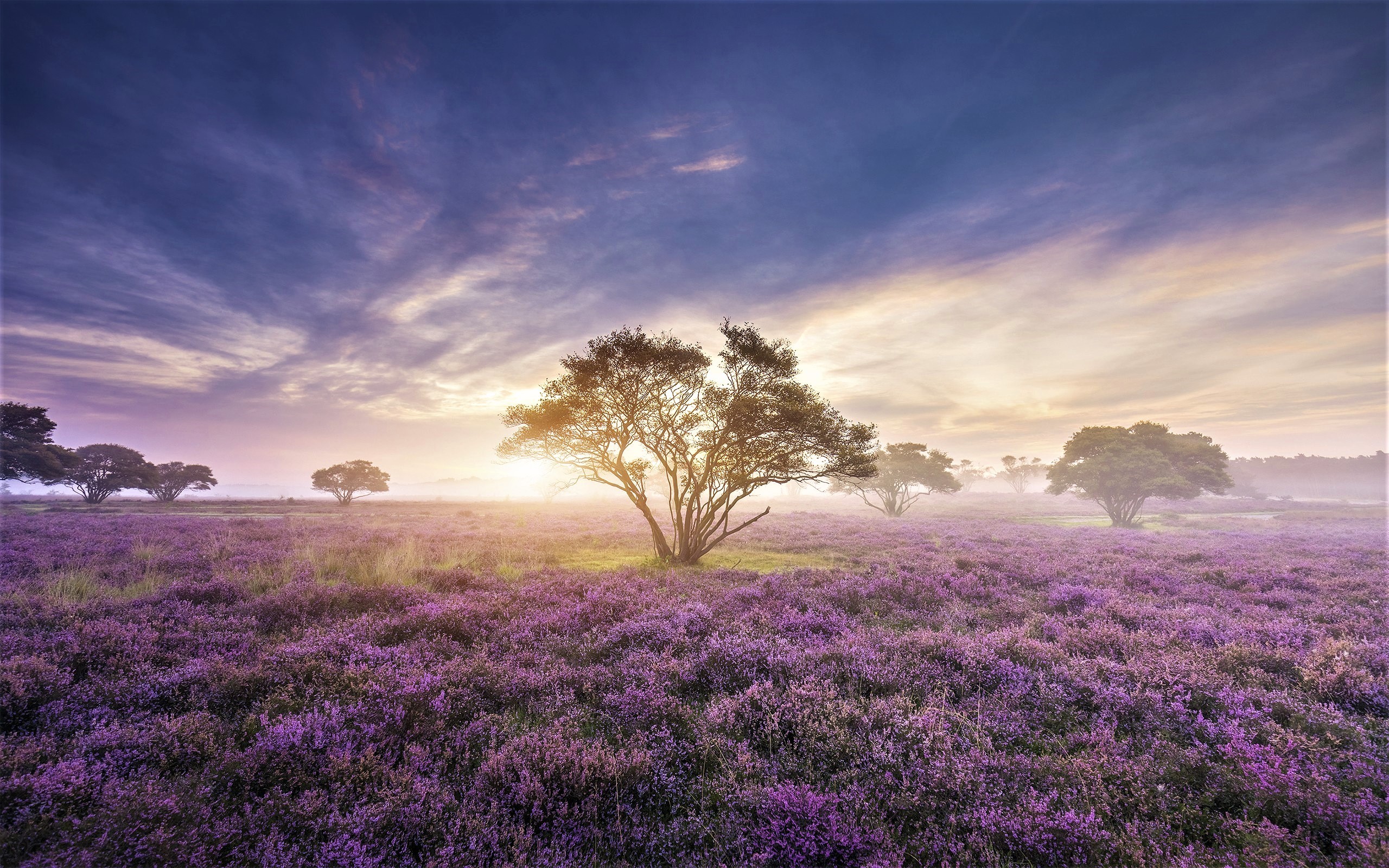 landscape, sunrise, nature, HD Wallpaper