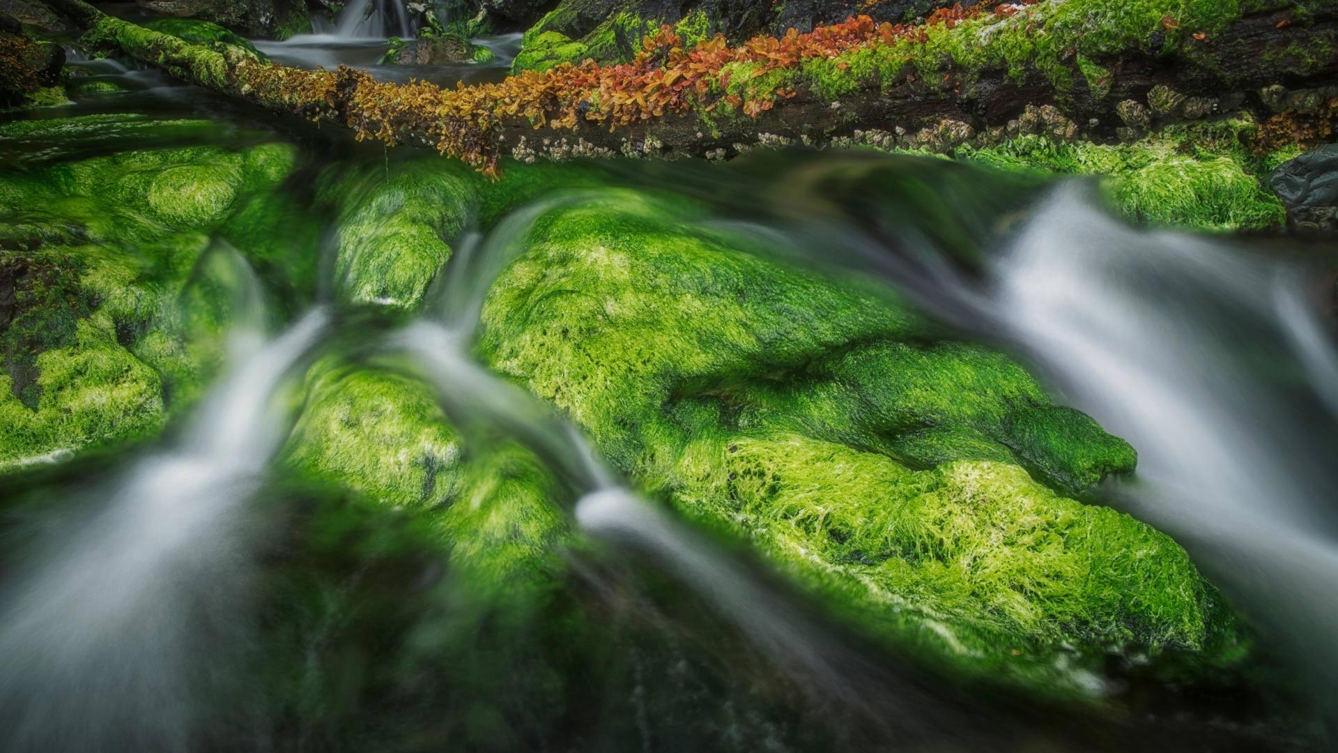 long exposure, Canada, green, water, rock, nature, HD Wallpaper