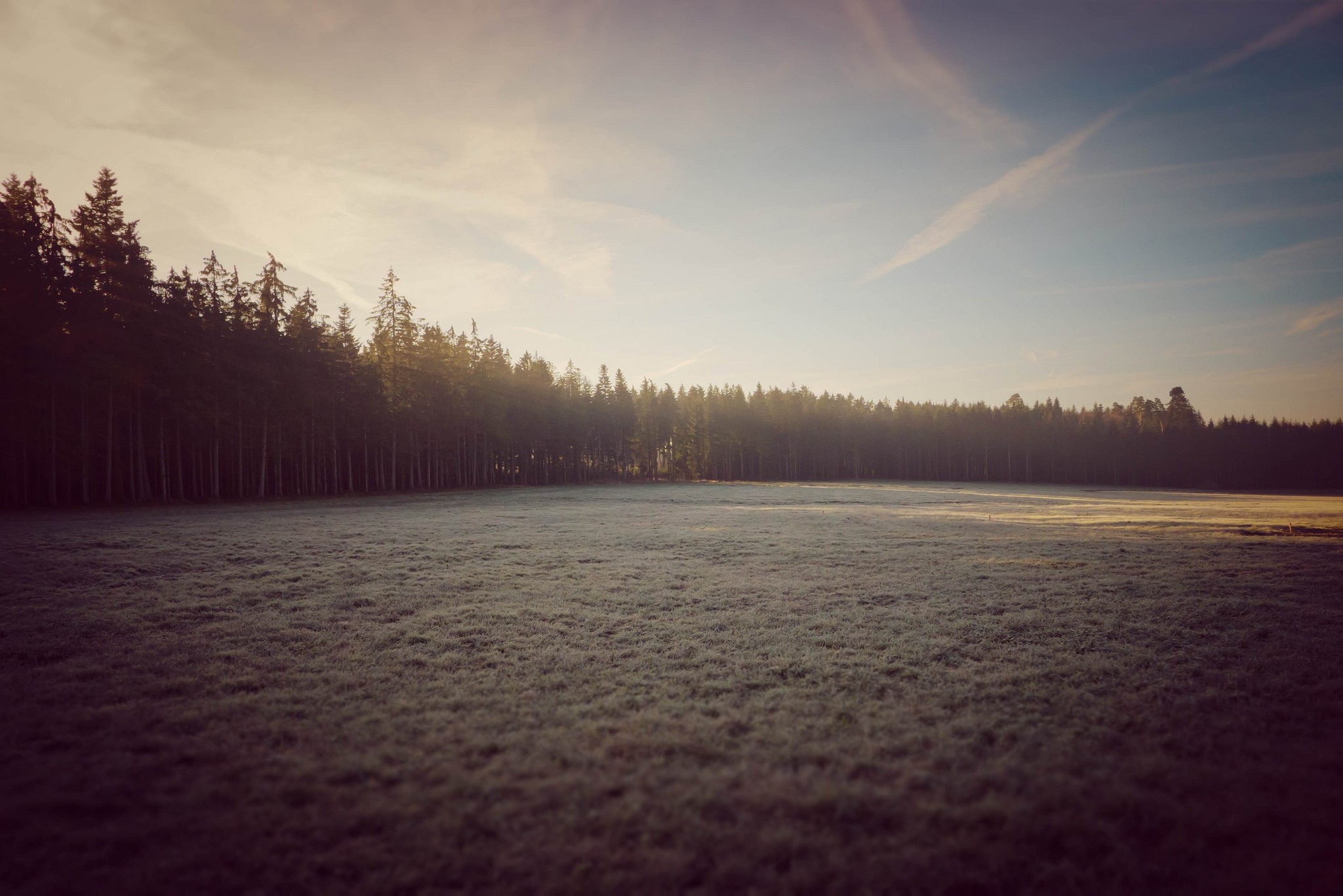 wood, nature, sky, HD Wallpaper