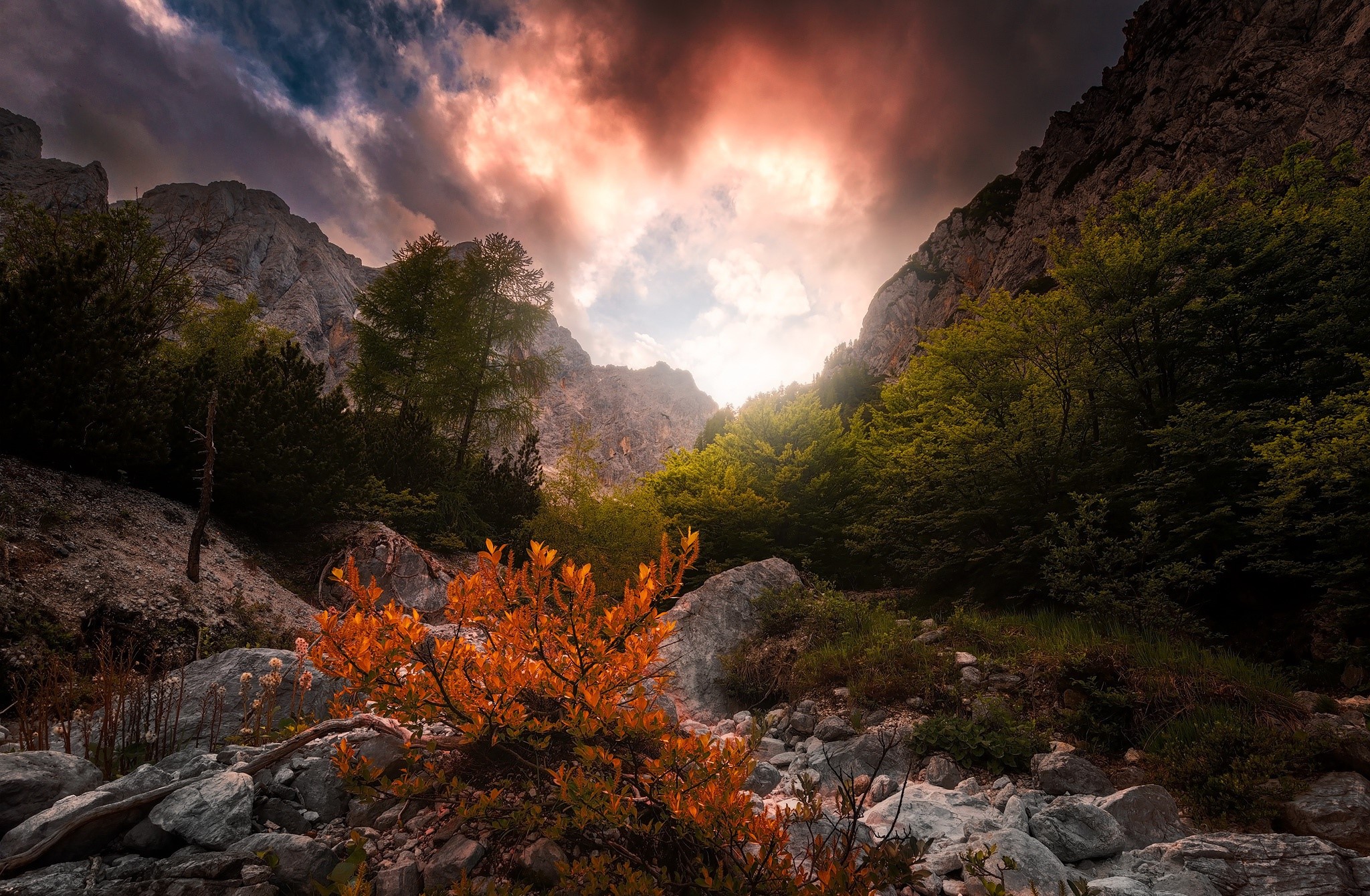 nature, sky, plants, sunlight, mountains, HD Wallpaper